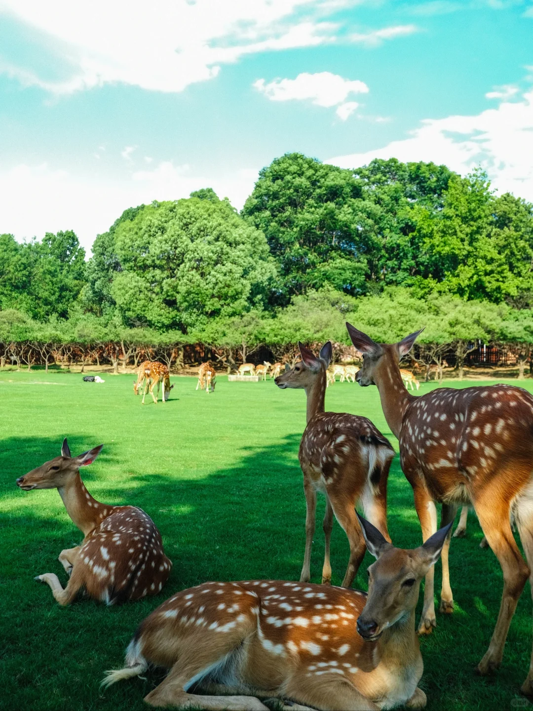 为了这🔟张照片，我特意飞了一趟南京‼️