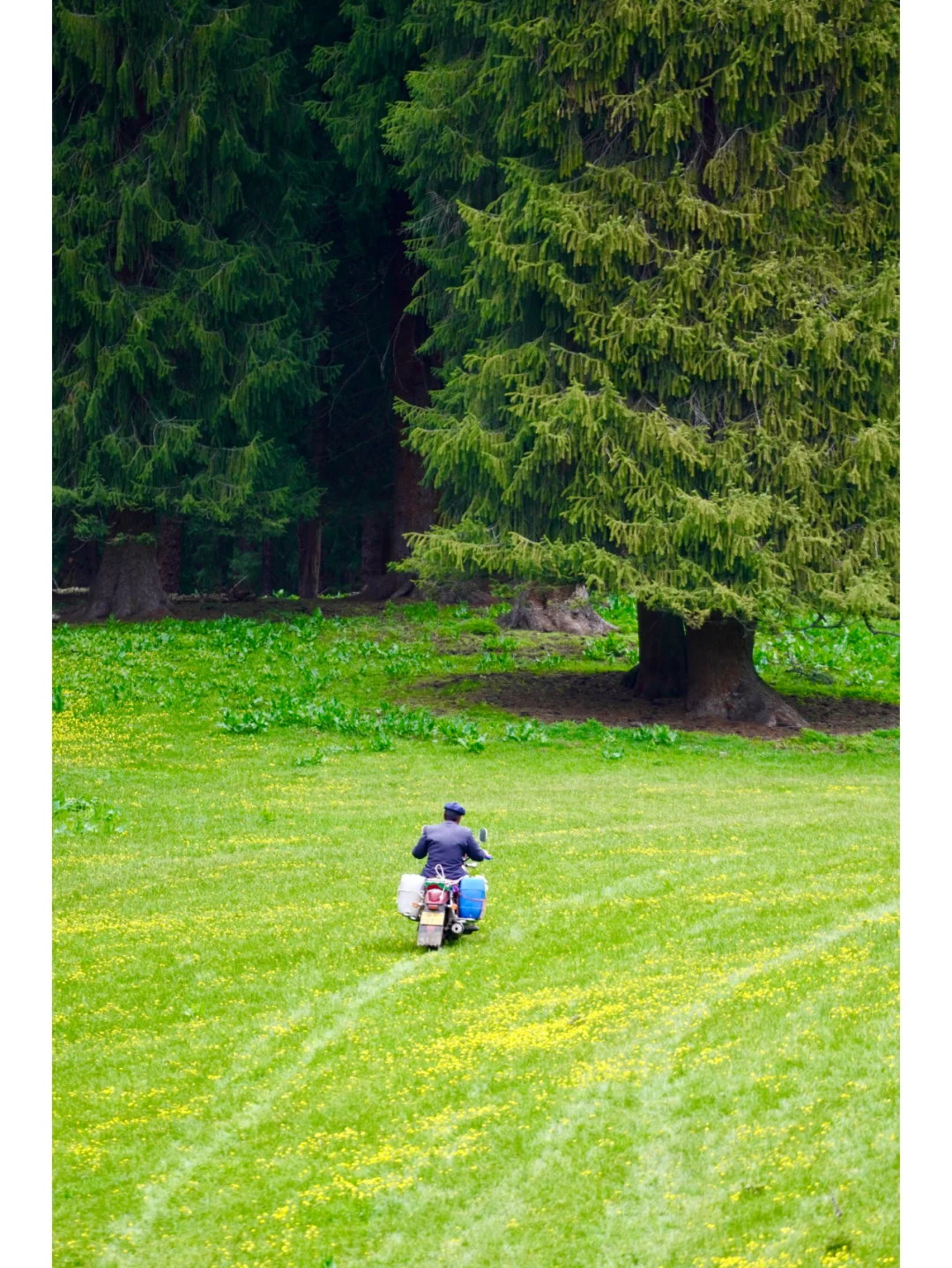 去了10次➕新疆，我的建议是：