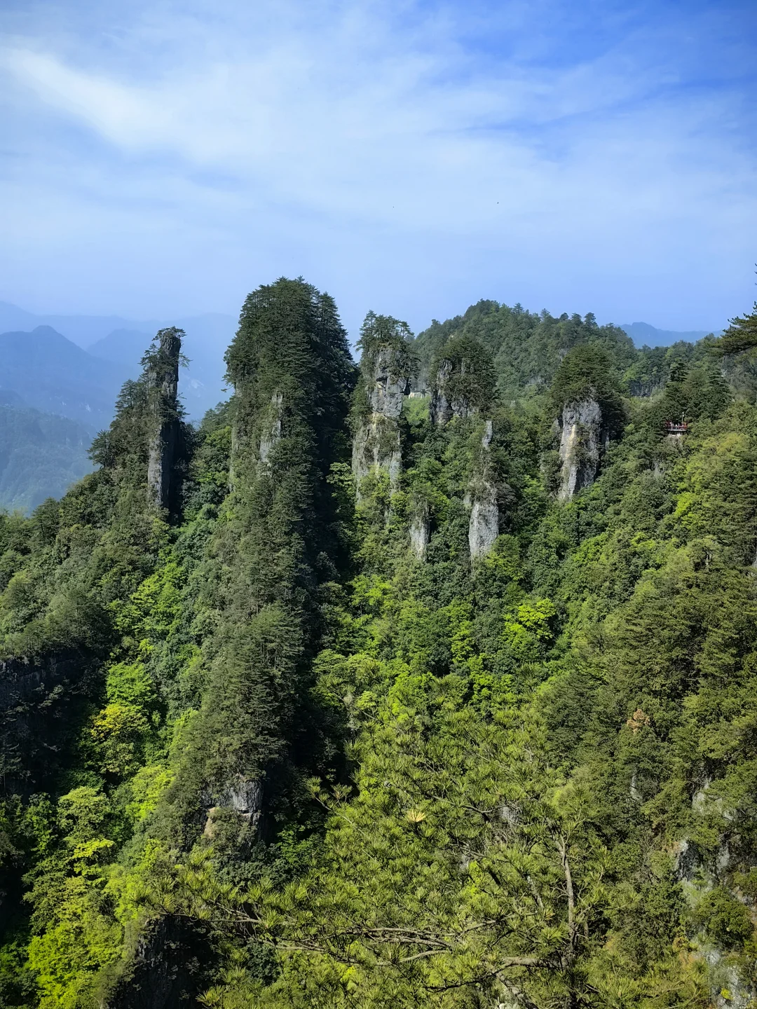 光雾山看高山杜鹃花攻略