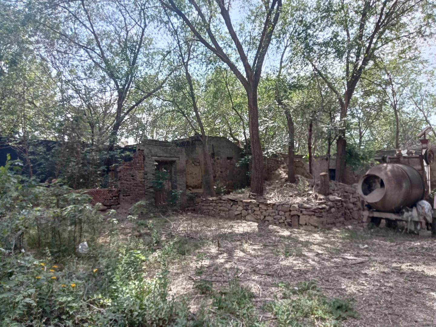 春末夏初的沁河郊野