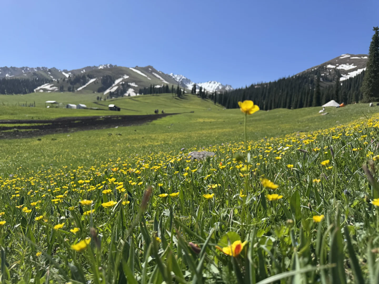 2025.05.14📍那拉提