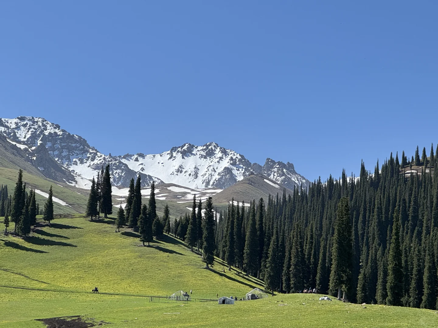 2025.05.14📍那拉提