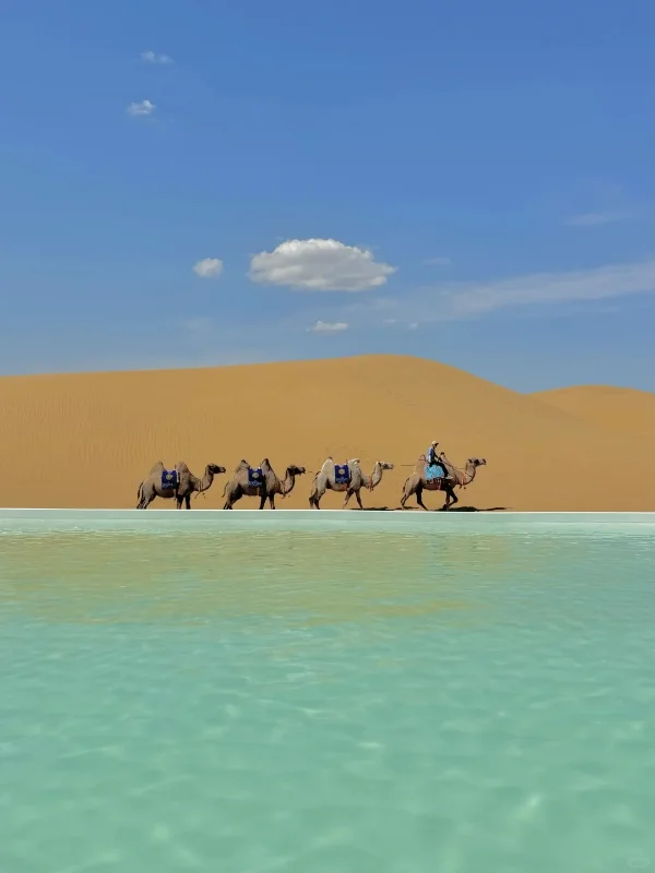 五一假期呼和浩特怎么玩