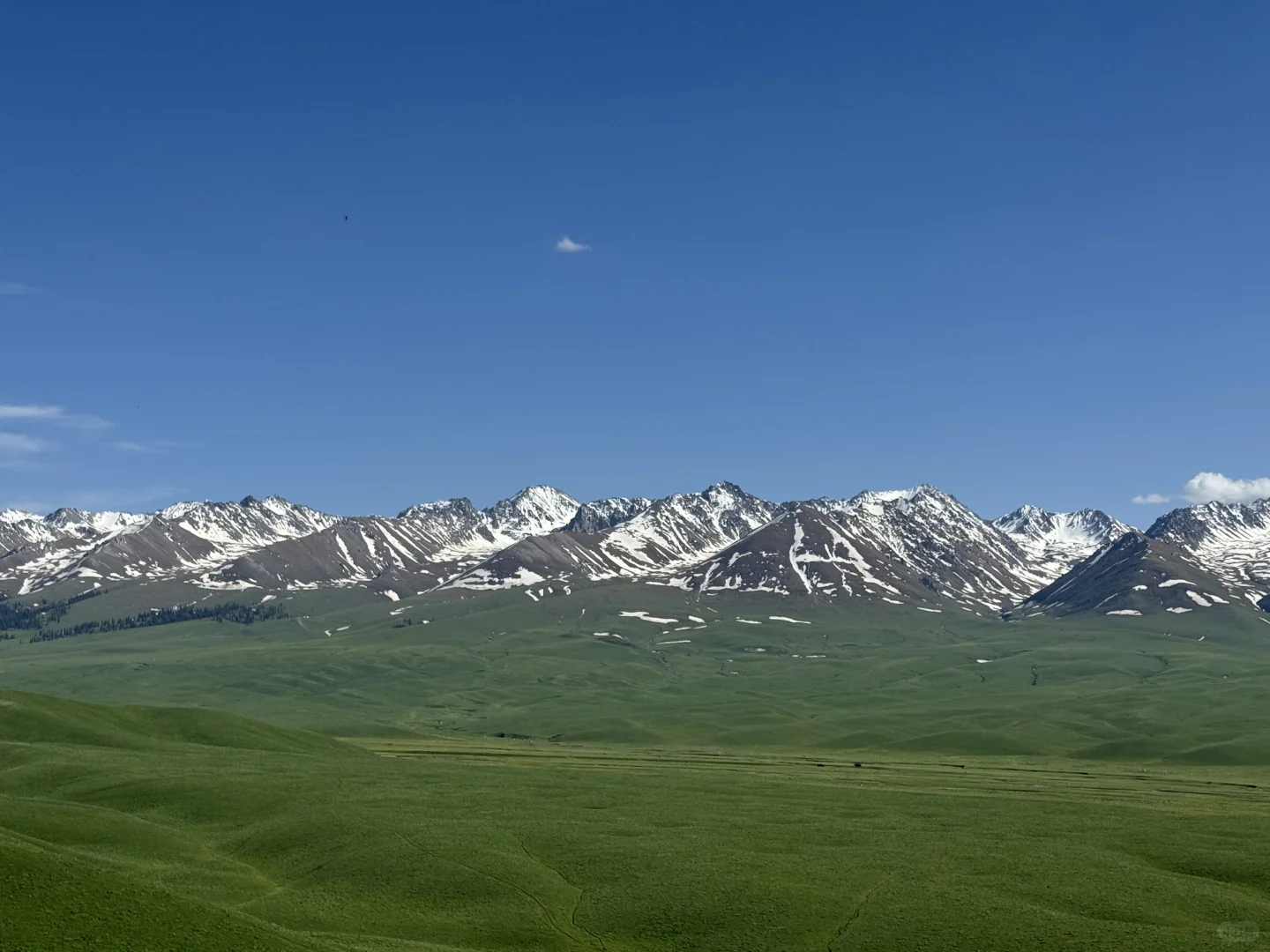 2025.05.14📍那拉提