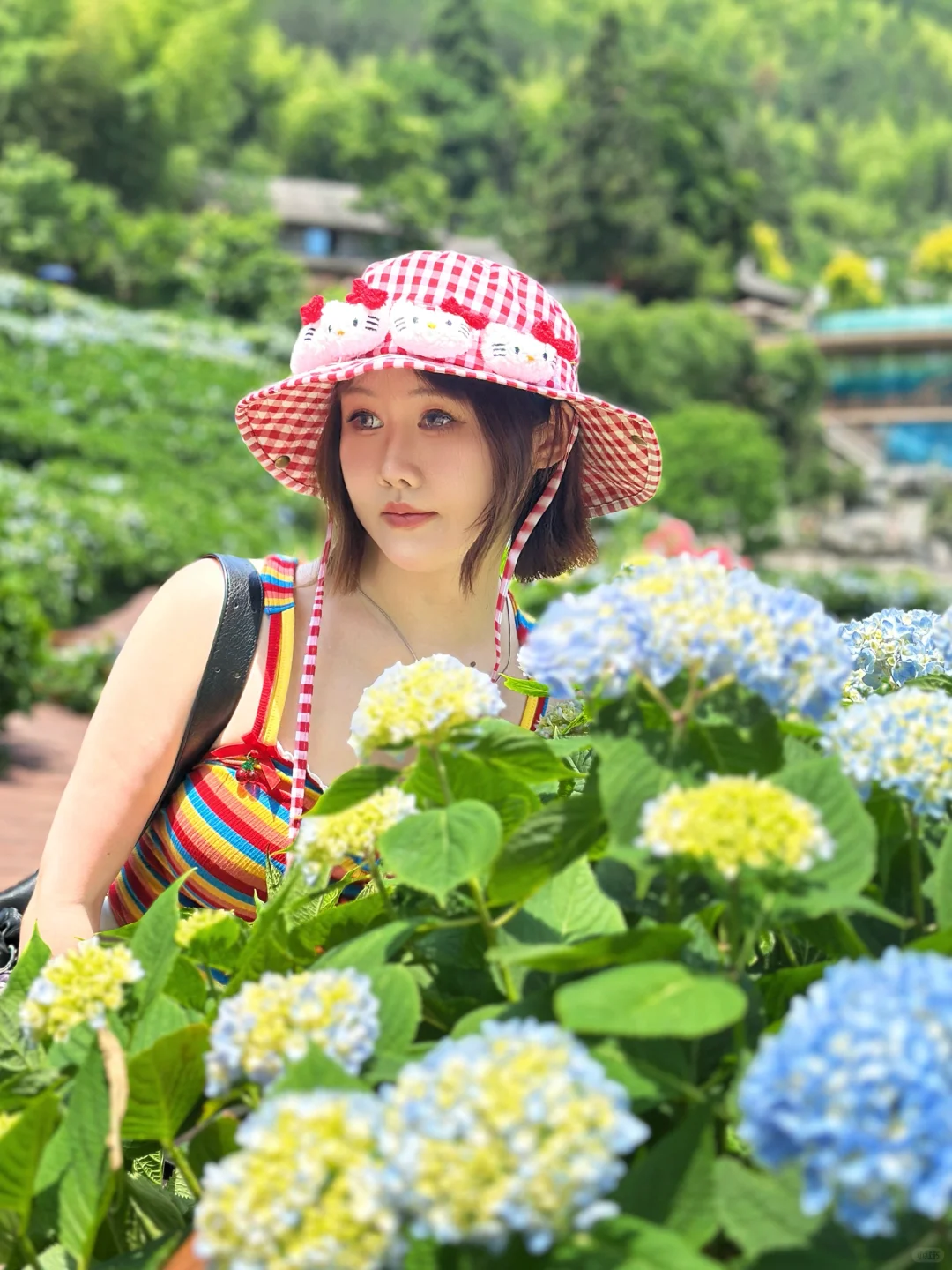 温州泰顺小众打卡景点，绣球花海绝了绝了