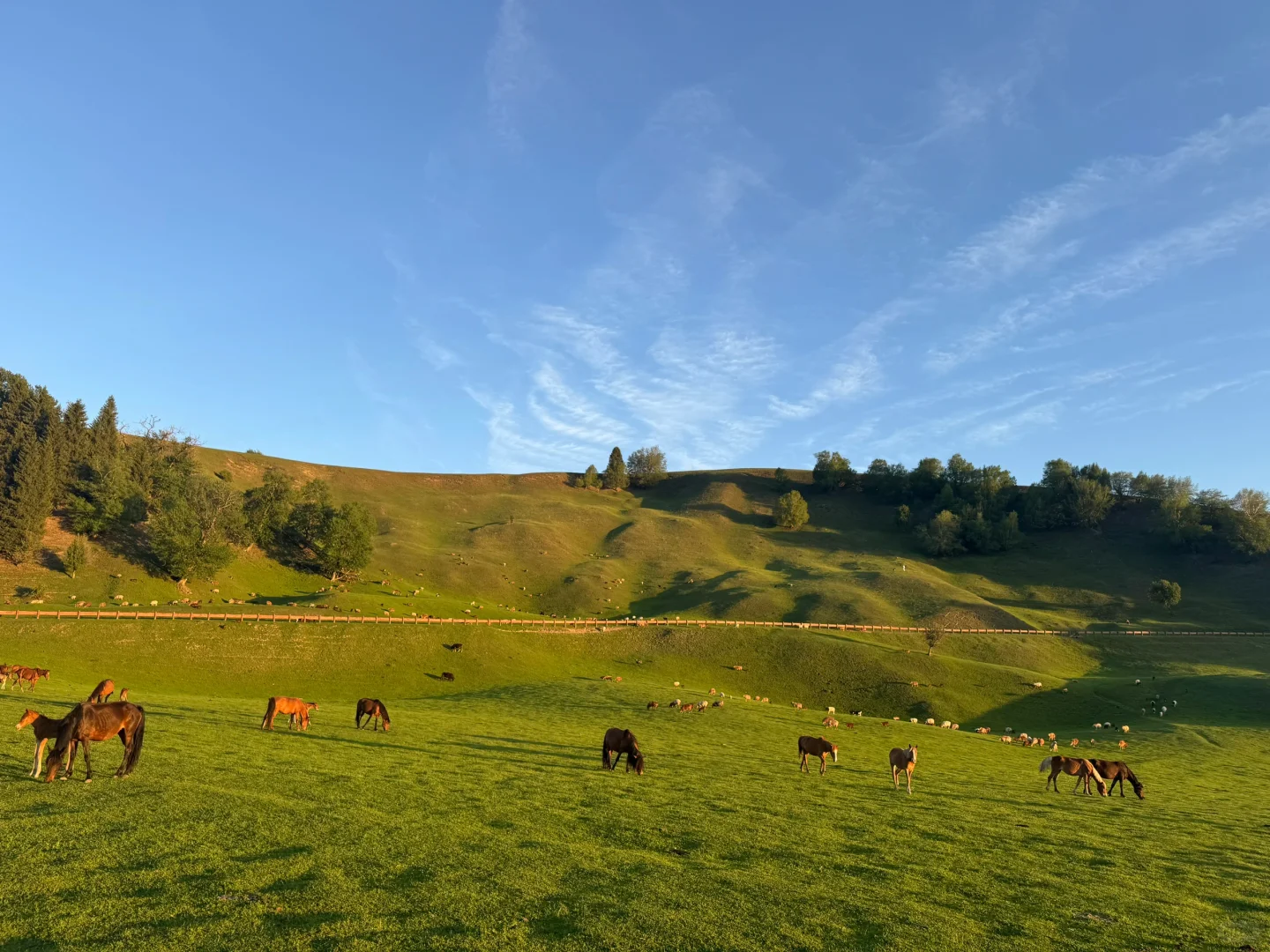 2025.05.14📍那拉提