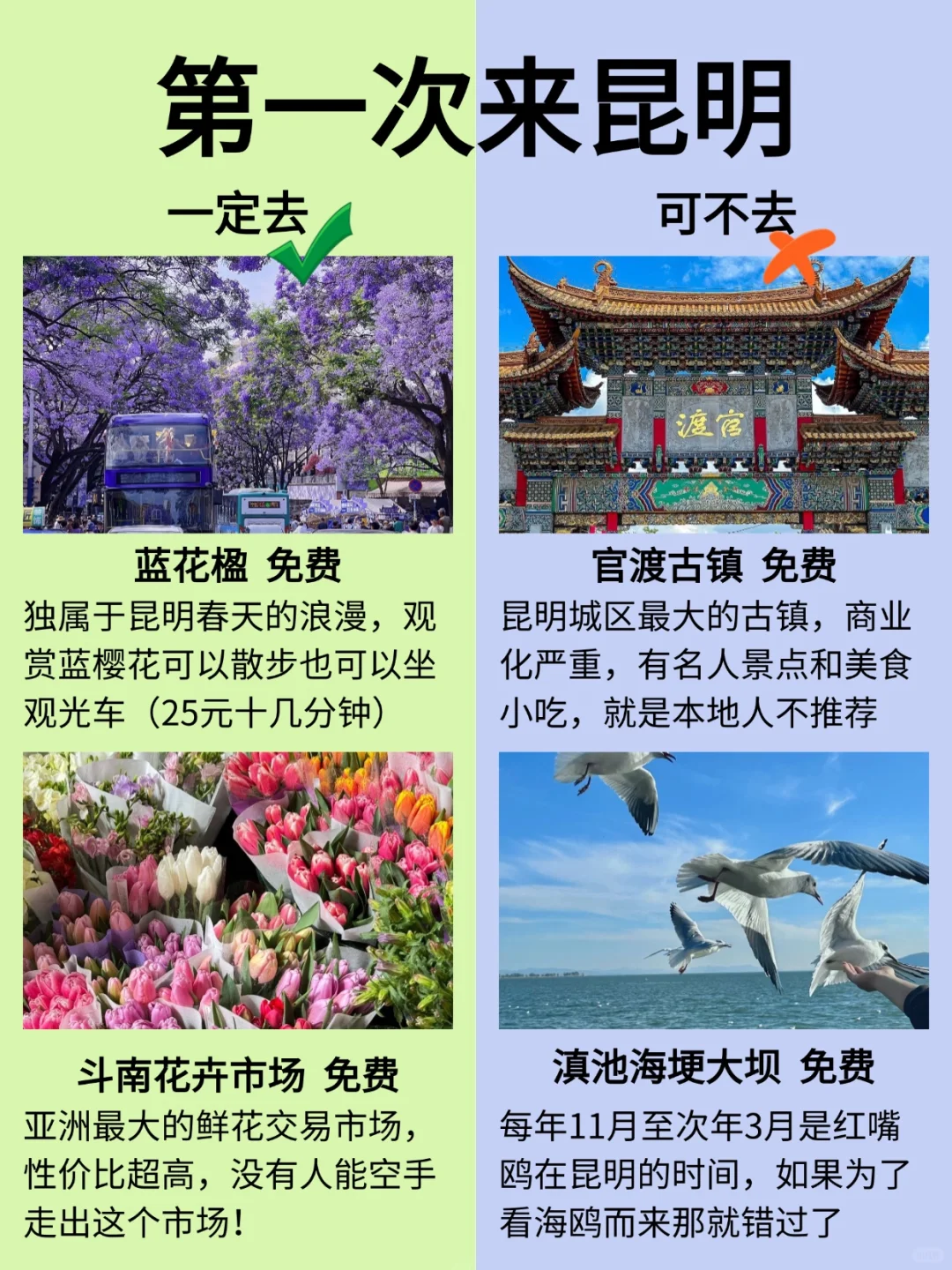 第一次去昆明，一定要去🆚可以不去