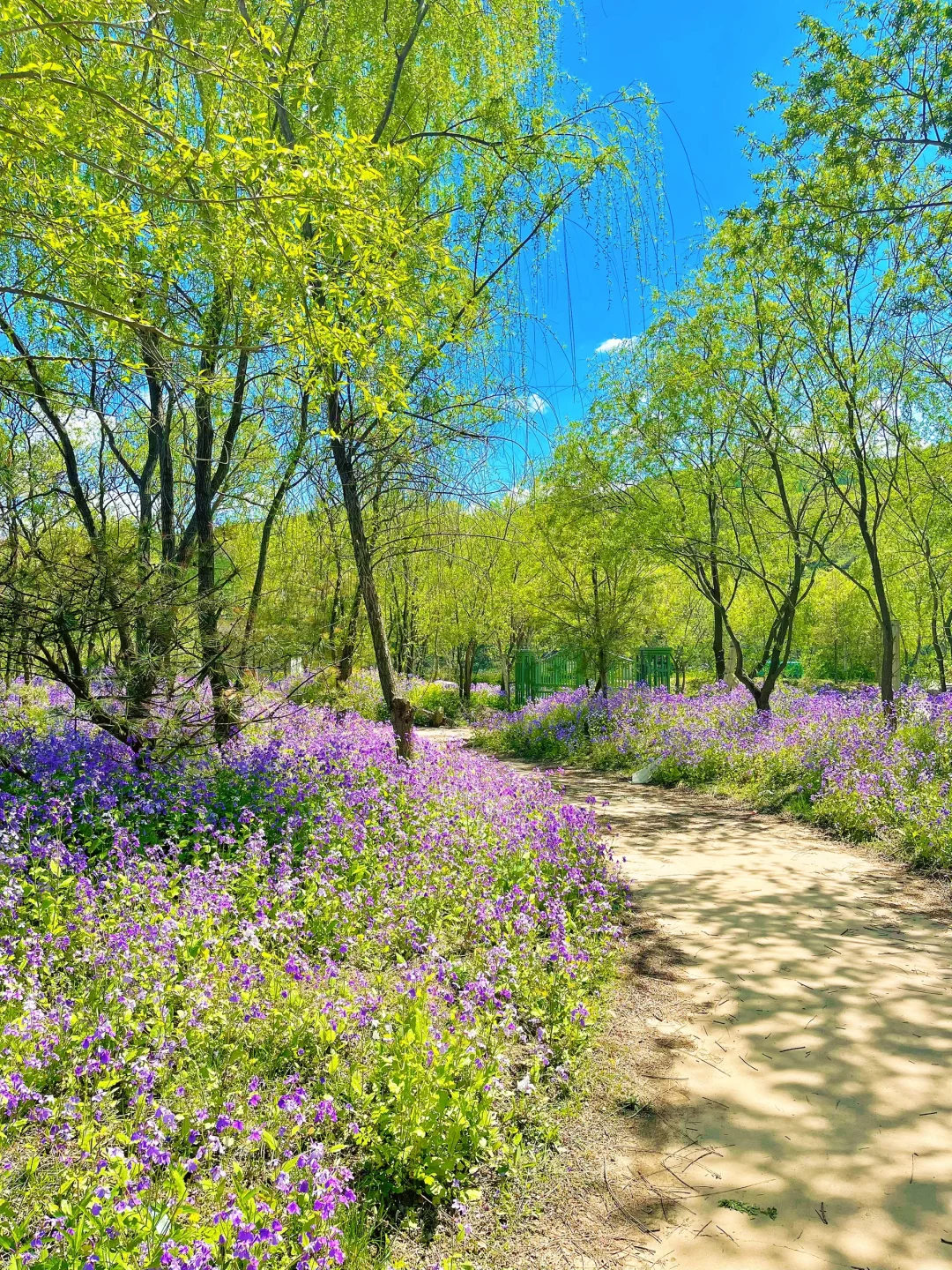 掉进了宫崎骏的画卷里🖼️