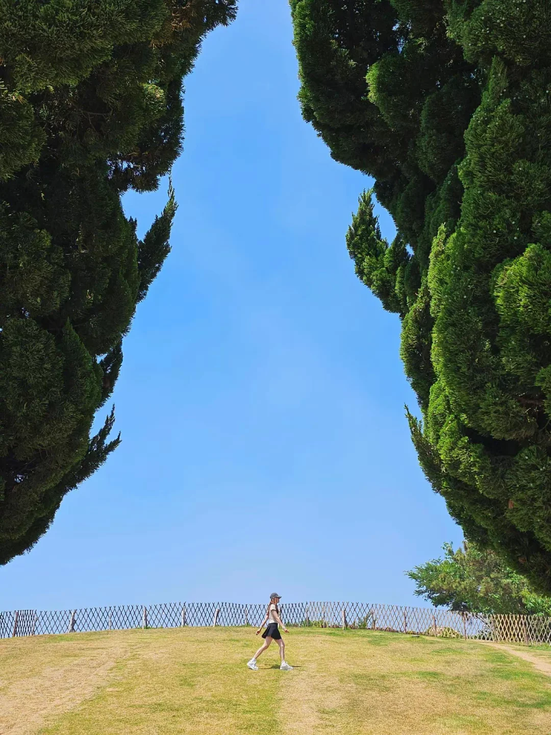 五一来青岛❗特种兵两天一晚保姆级攻略