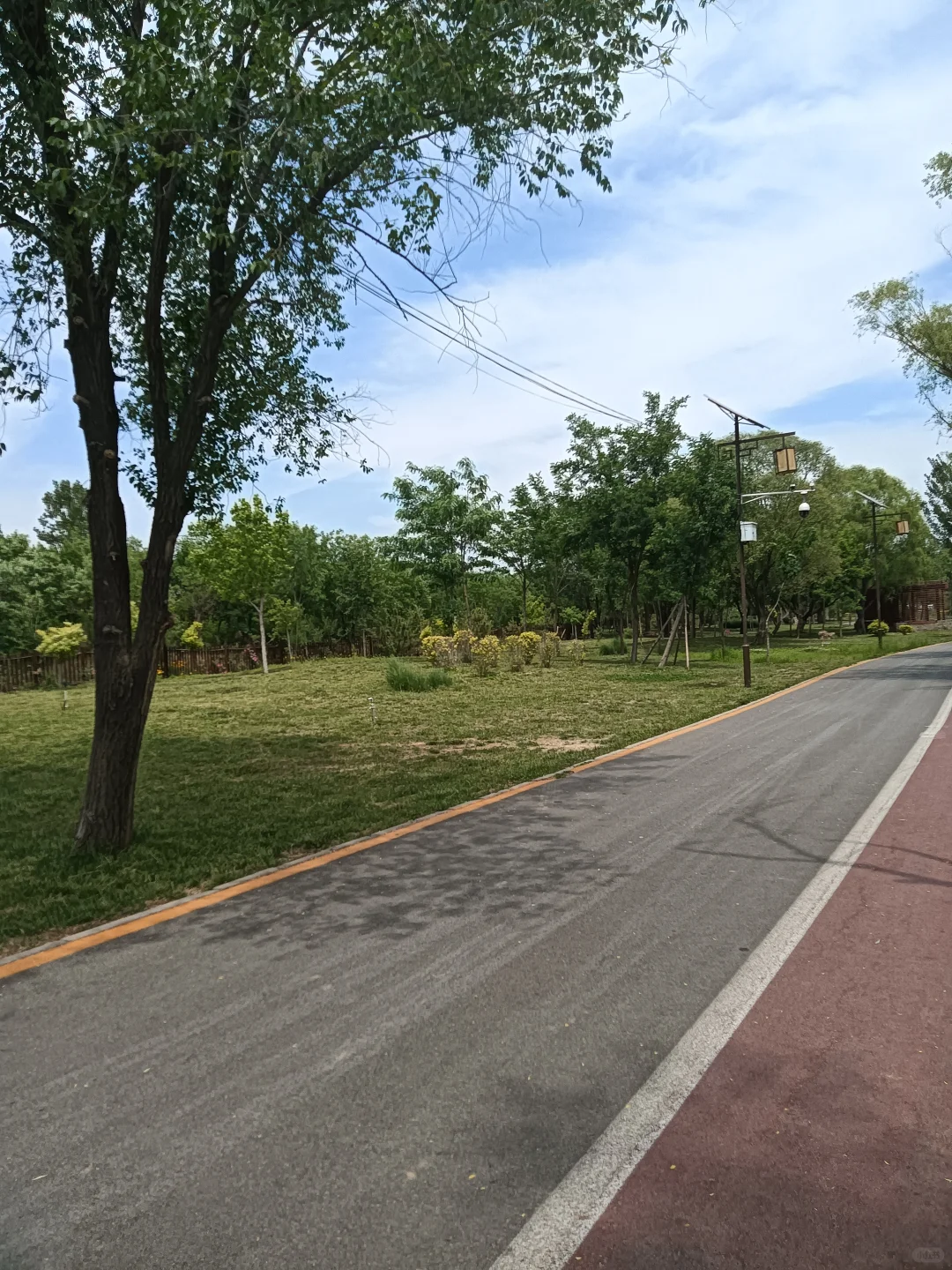 春末夏初的沁河郊野