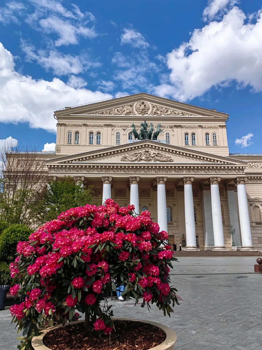 5.14 被莫斯科大剧院的茶花美到啦