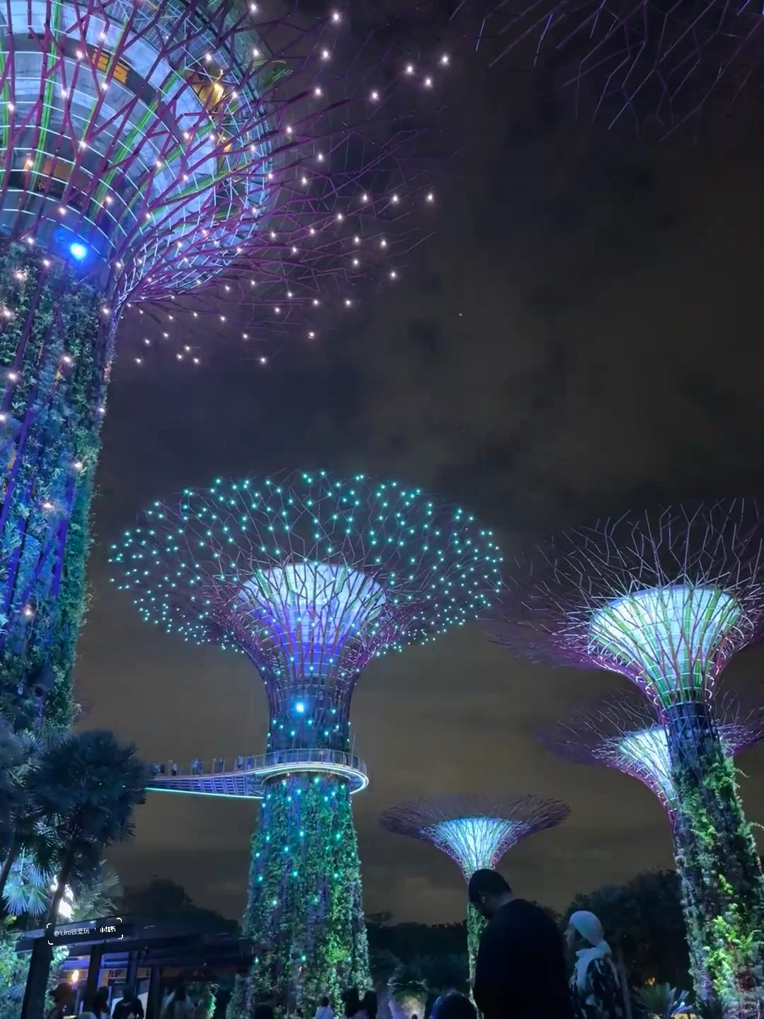 4.28📍新加坡已回，说点不一样的。。。