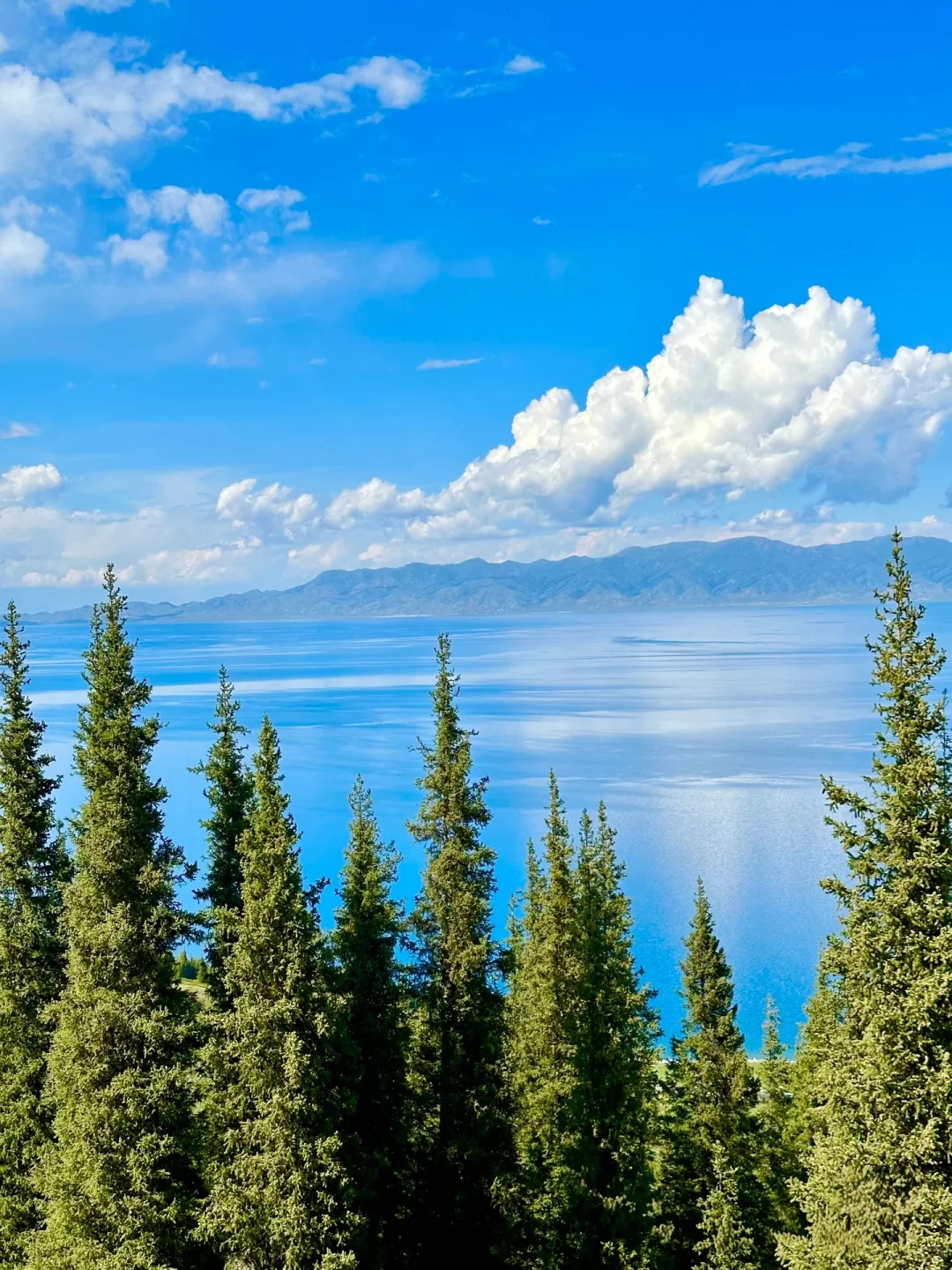 别被网红骗了！赛里木湖最值得拍的其实是这