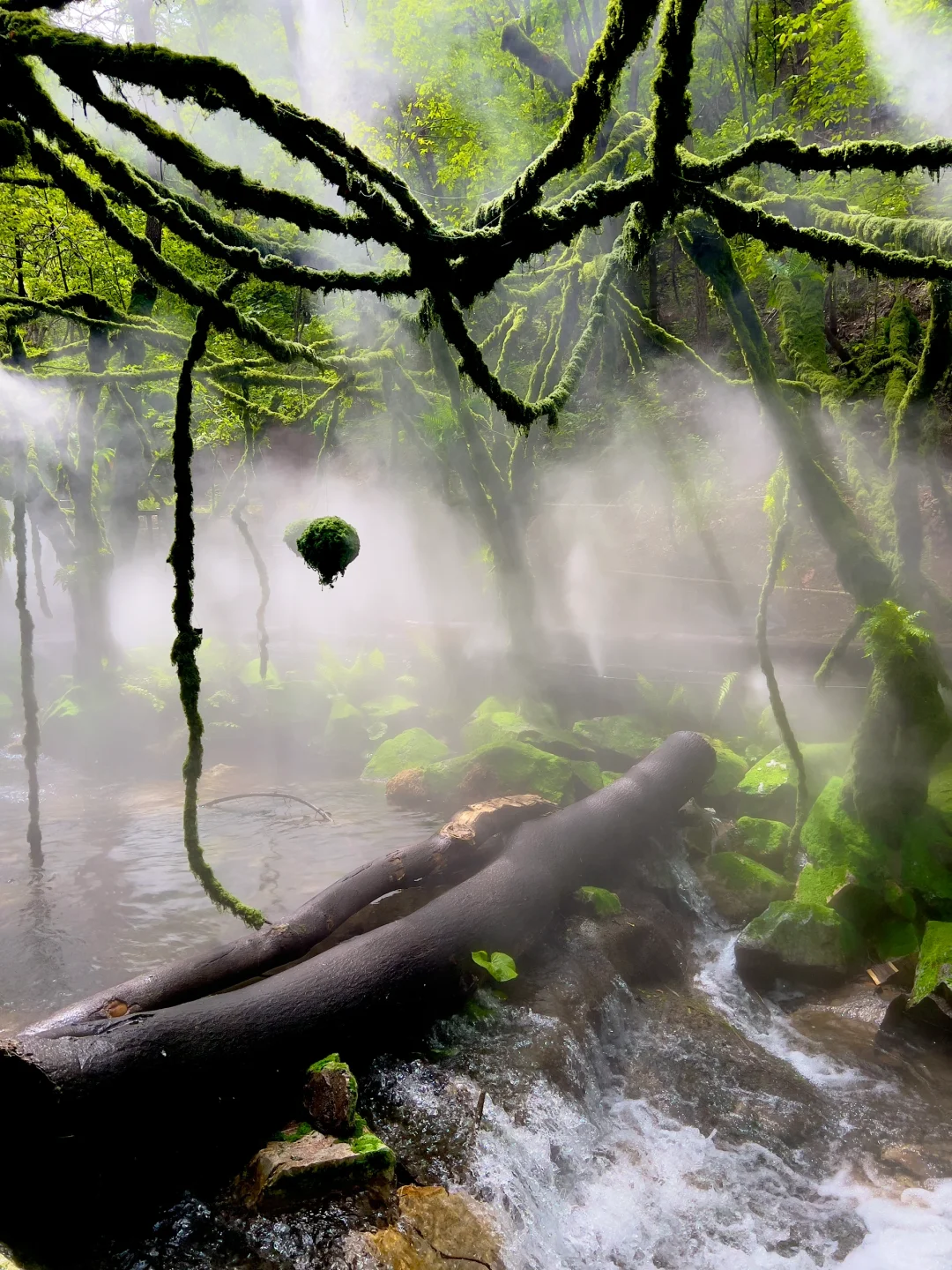 洛阳栾川重渡沟山野秘境