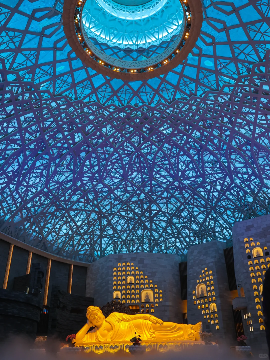 为了这🔟张照片，我特意飞了一趟南京‼️