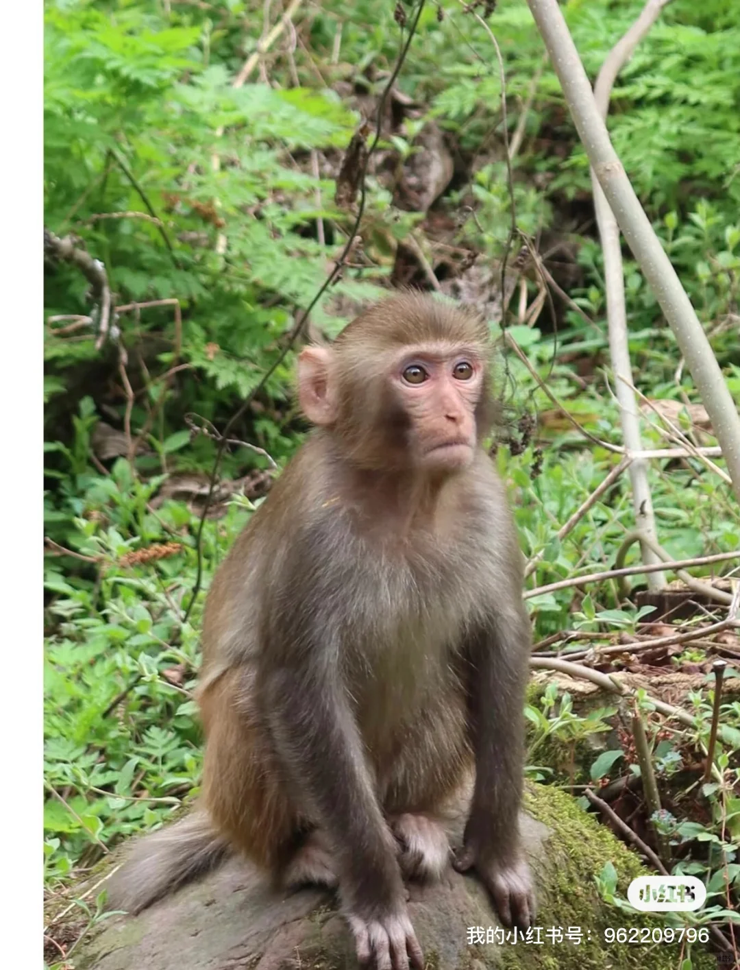 张家界国家森林公园