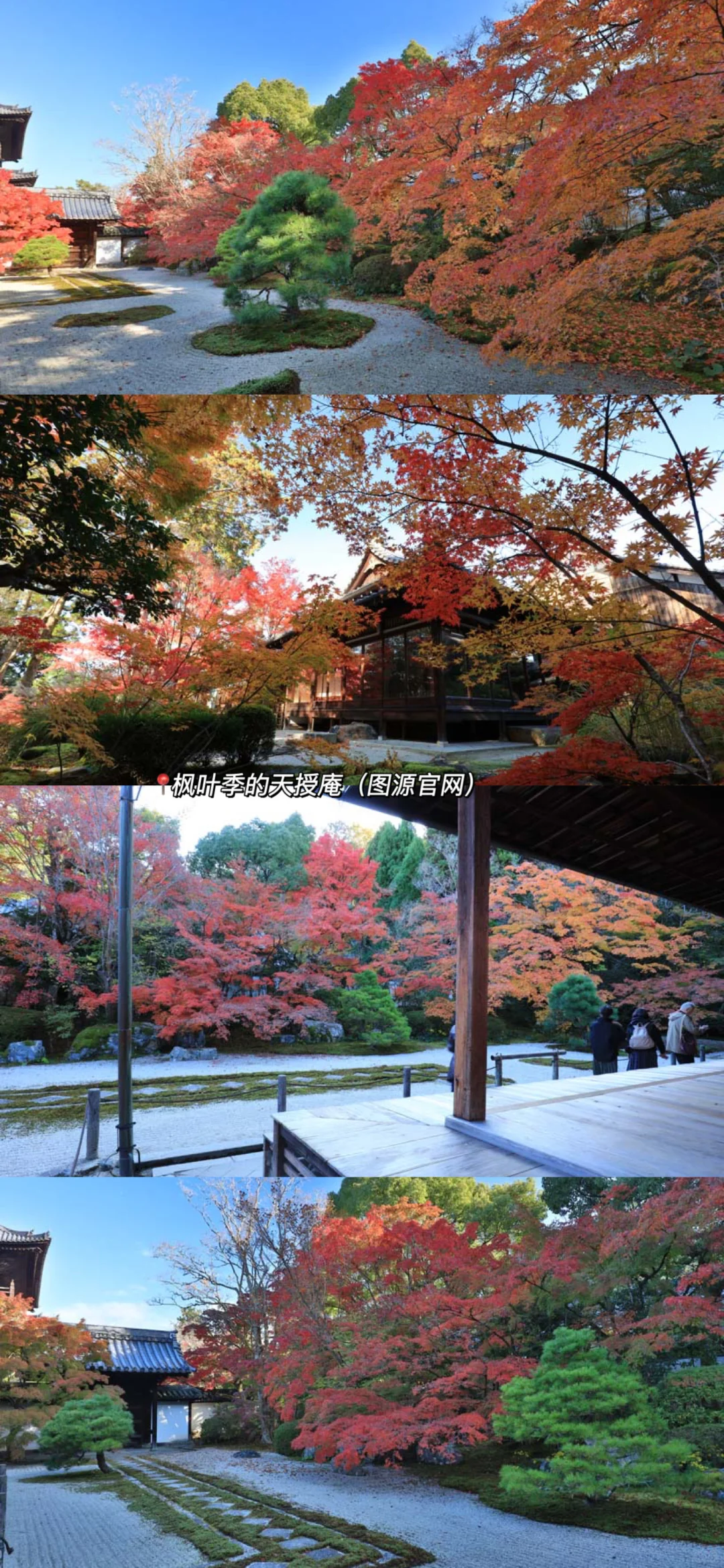 🇯🇵|天授庵🍃京都最值得的一日游路线