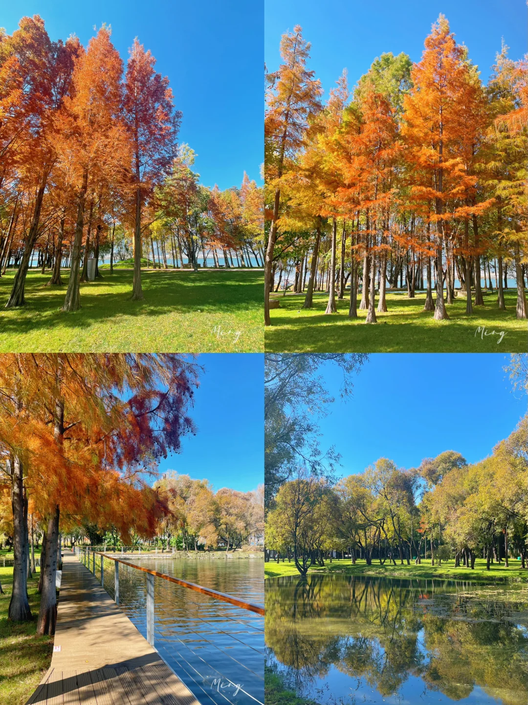 严重被低估❗️洱海旅拍人少出片宝藏公园🏞️