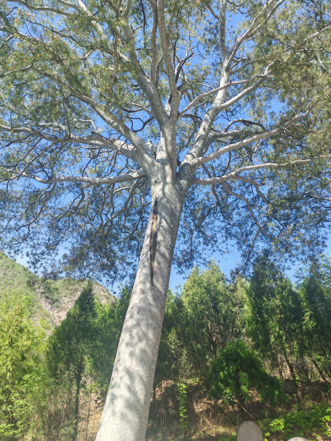 浊漳河谷至龙门寺线
