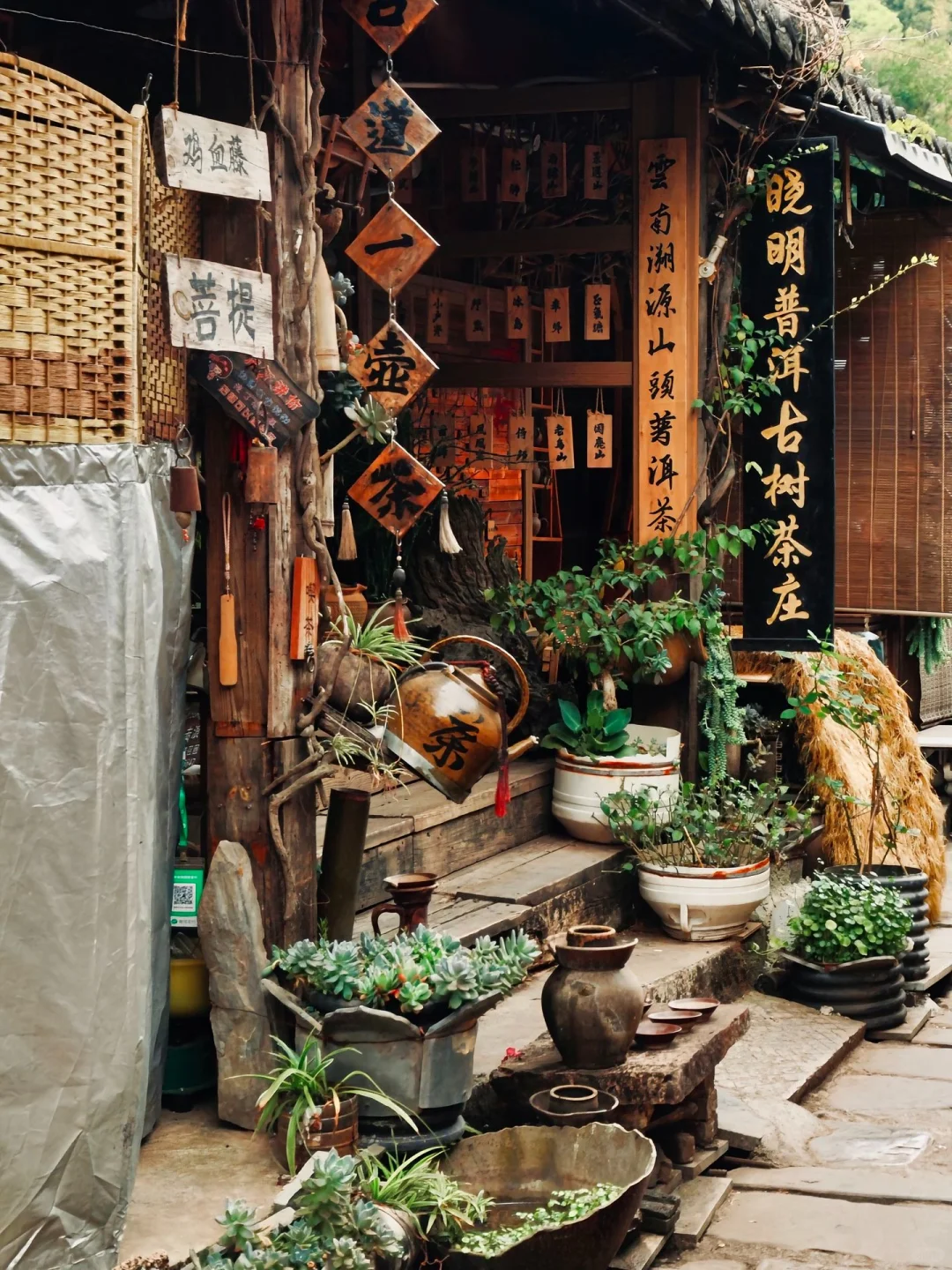 🌿比丽江恬淡，躲进北回归线的绿野仙踪