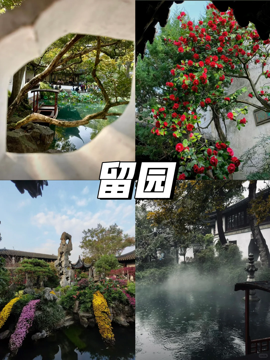 苏州真的会“惩罚”每一个不认真做攻略的人