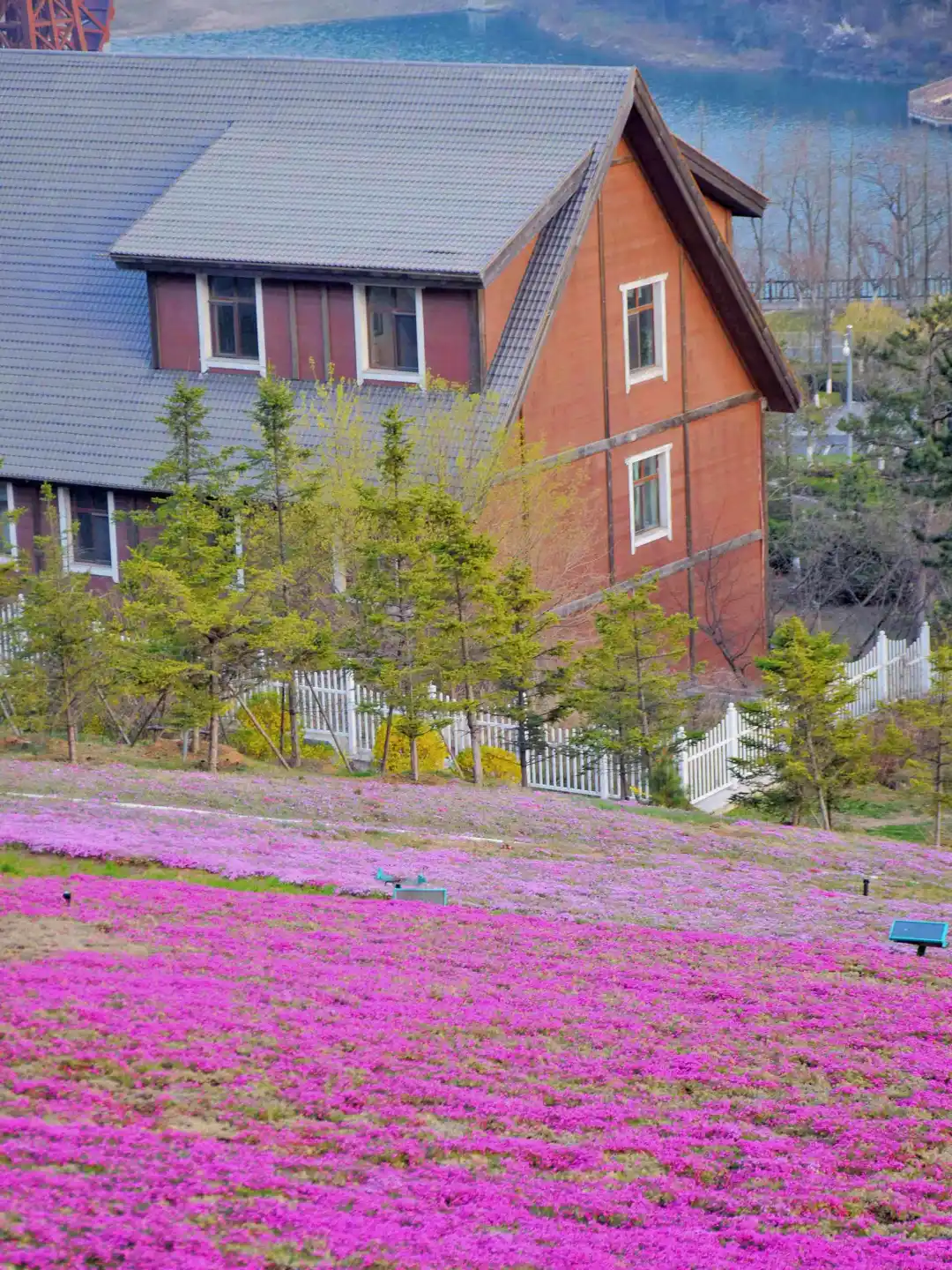 “以为威海已经够美了，直到去了大连…”