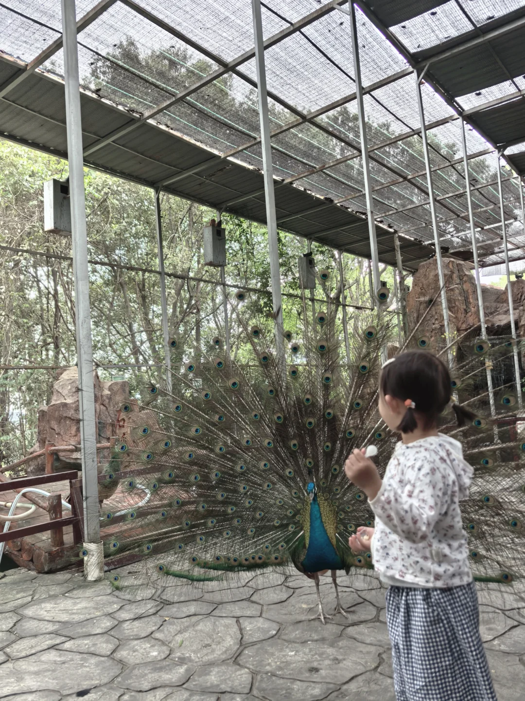 被低估的宝藏景点|庐山西海一日游玩攻略