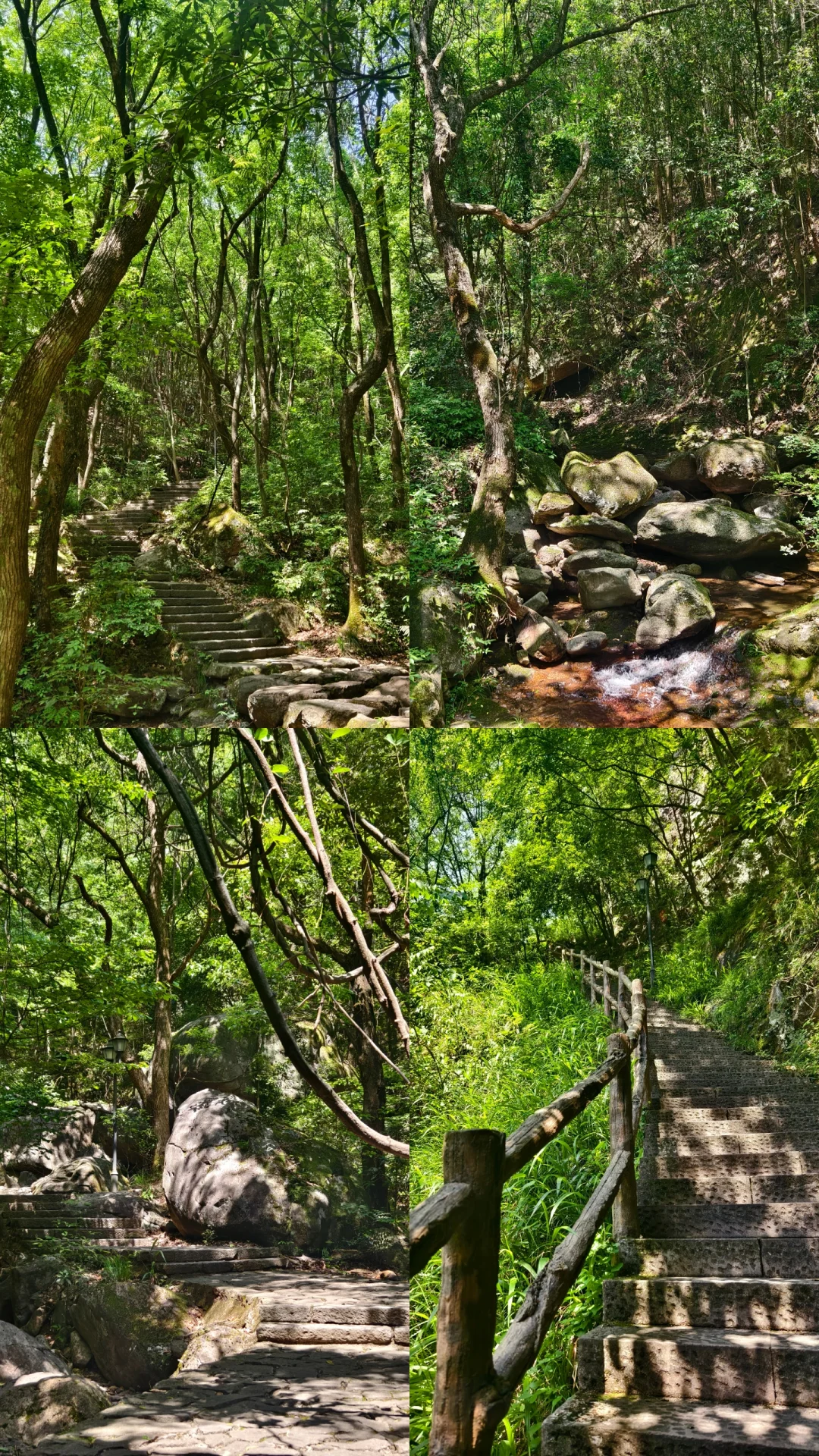 义乌游玩景点-华溪森林公园