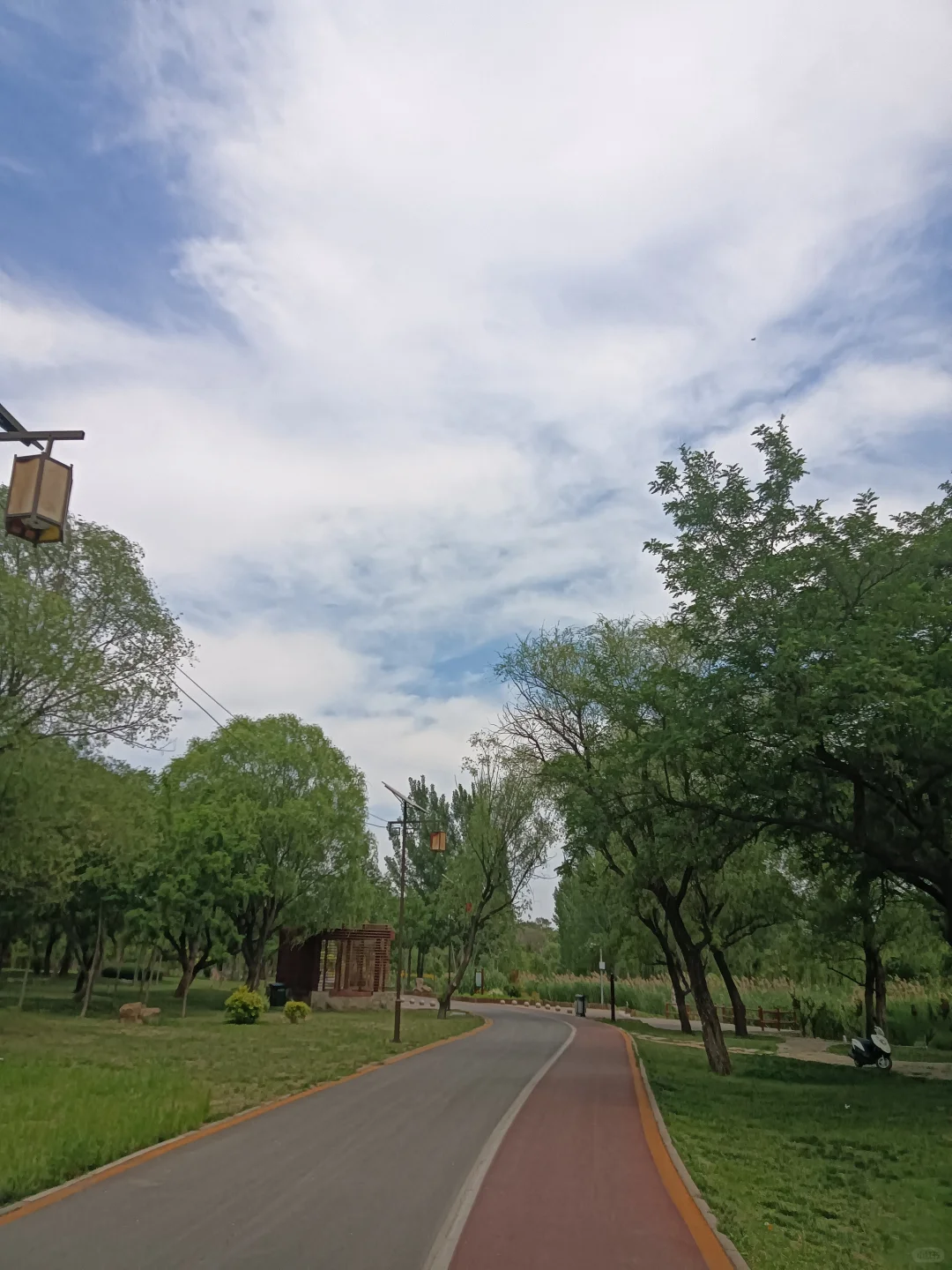 春末夏初的沁河郊野