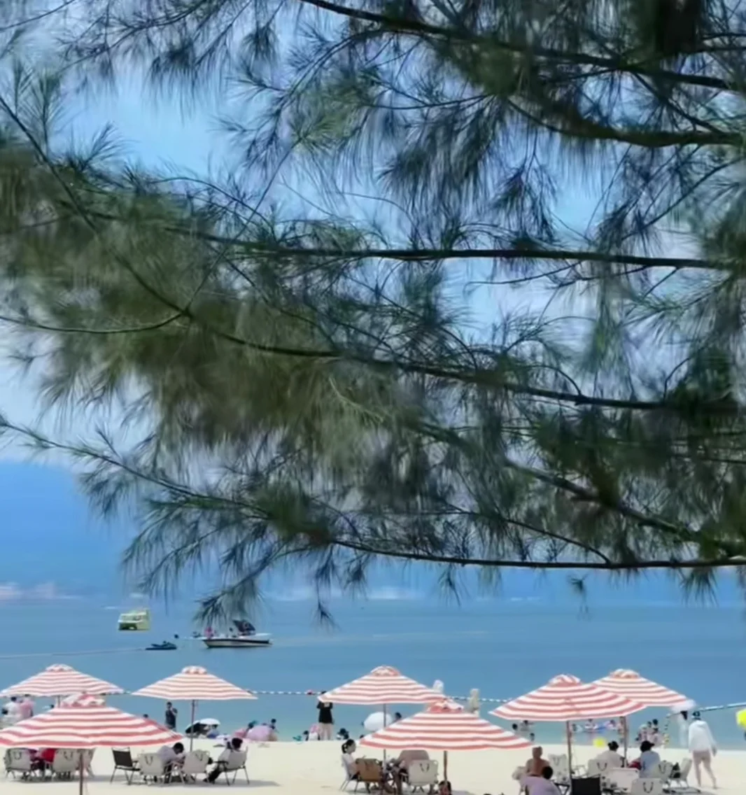 亲测无广📝，深圳穷游攻略来啦!!