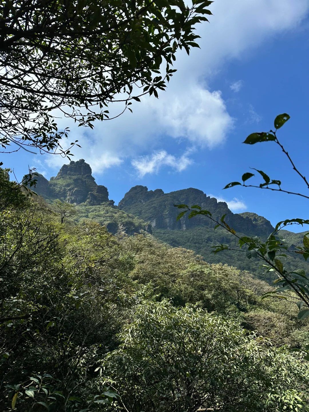 14亿年前的海洋,贵州【梵净山】