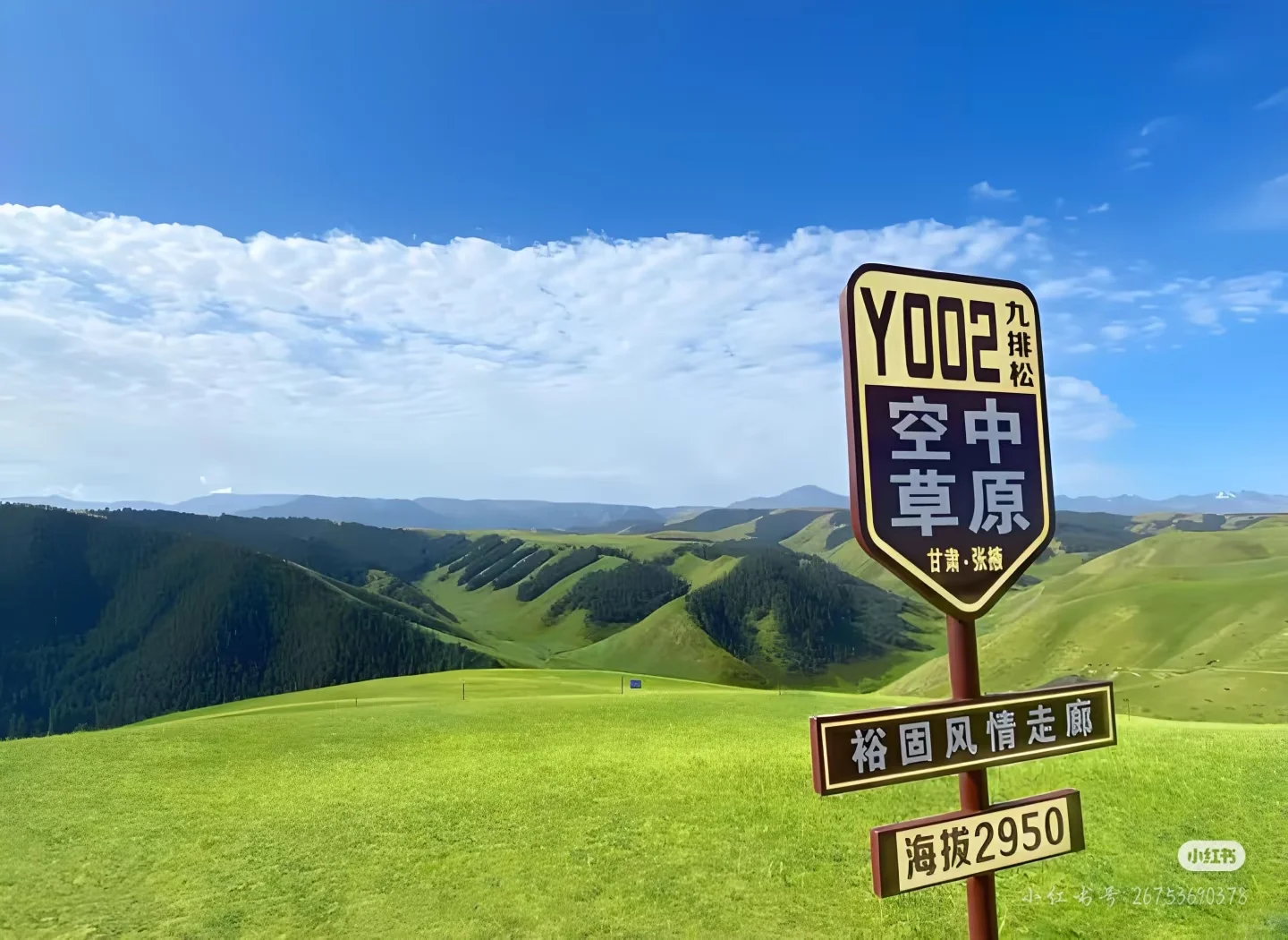 认真帮你游玩大美张掖