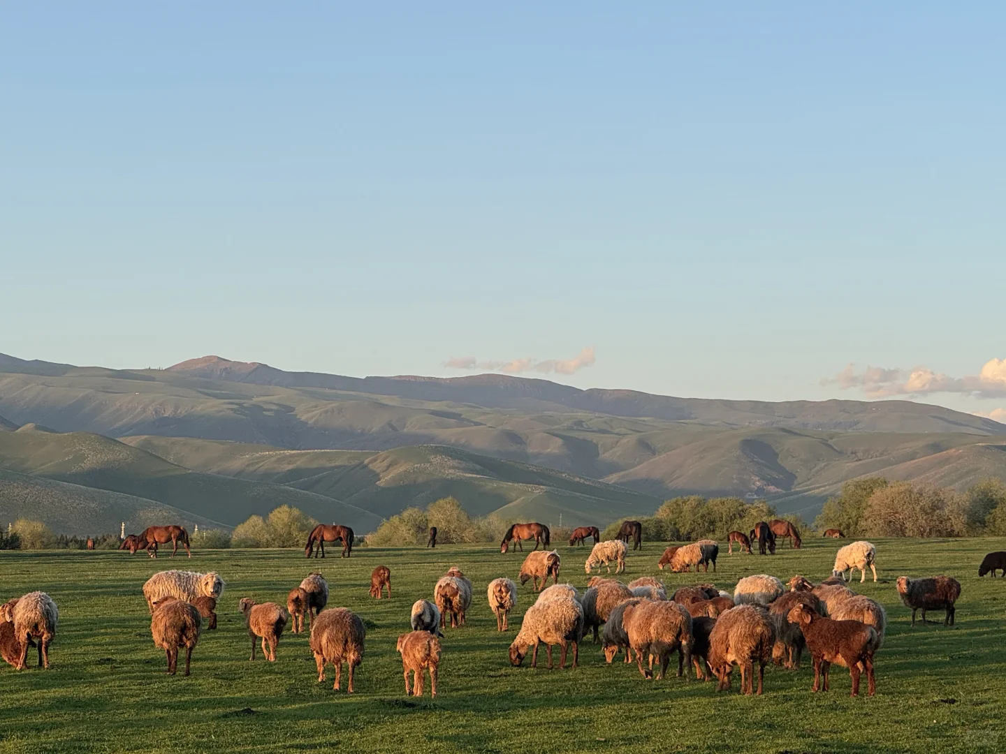 2025.05.14📍那拉提