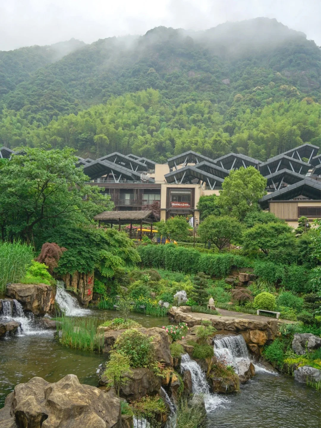 人间仙境葛仙村，体验手可摘星辰✨