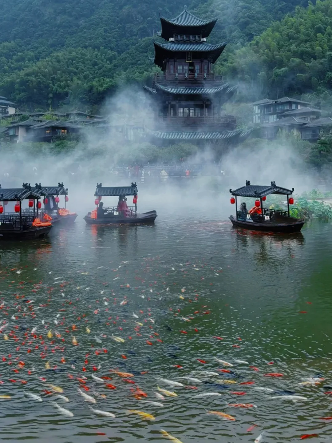 人间仙境葛仙村，体验手可摘星辰✨