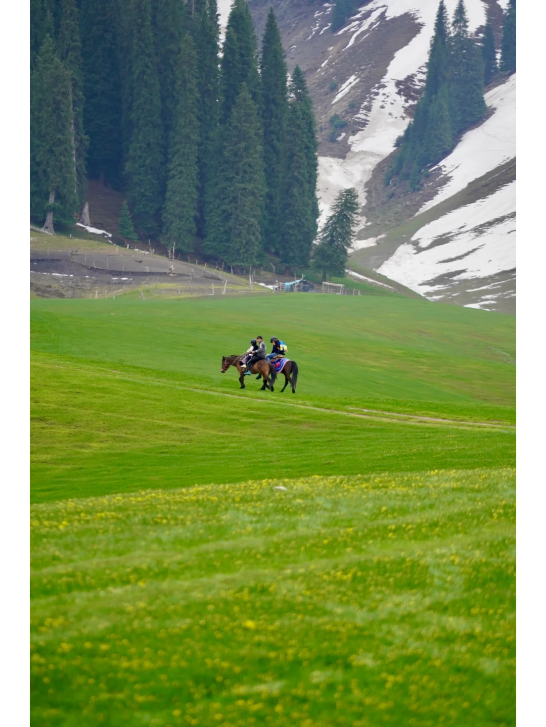 去了10次➕新疆，我的建议是：