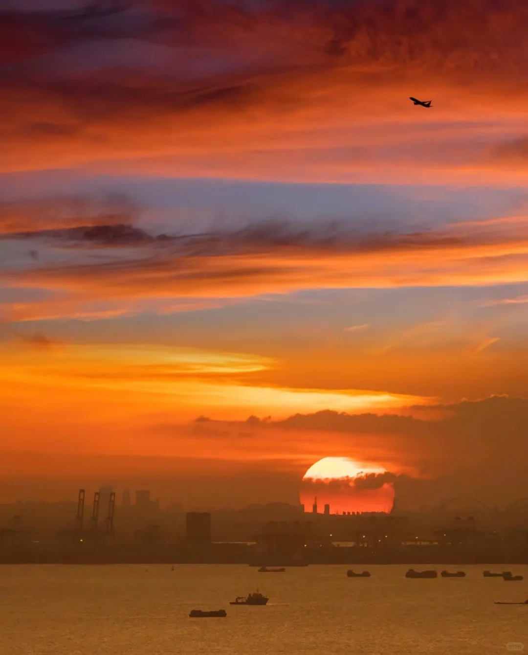 亲测无广📝，深圳穷游攻略来啦!!