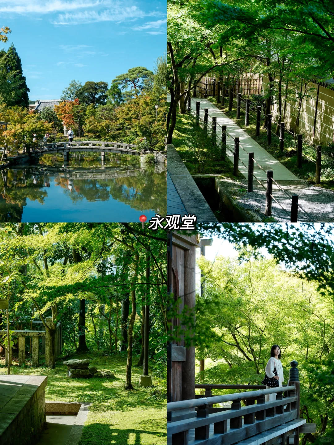 🇯🇵|天授庵🍃京都最值得的一日游路线