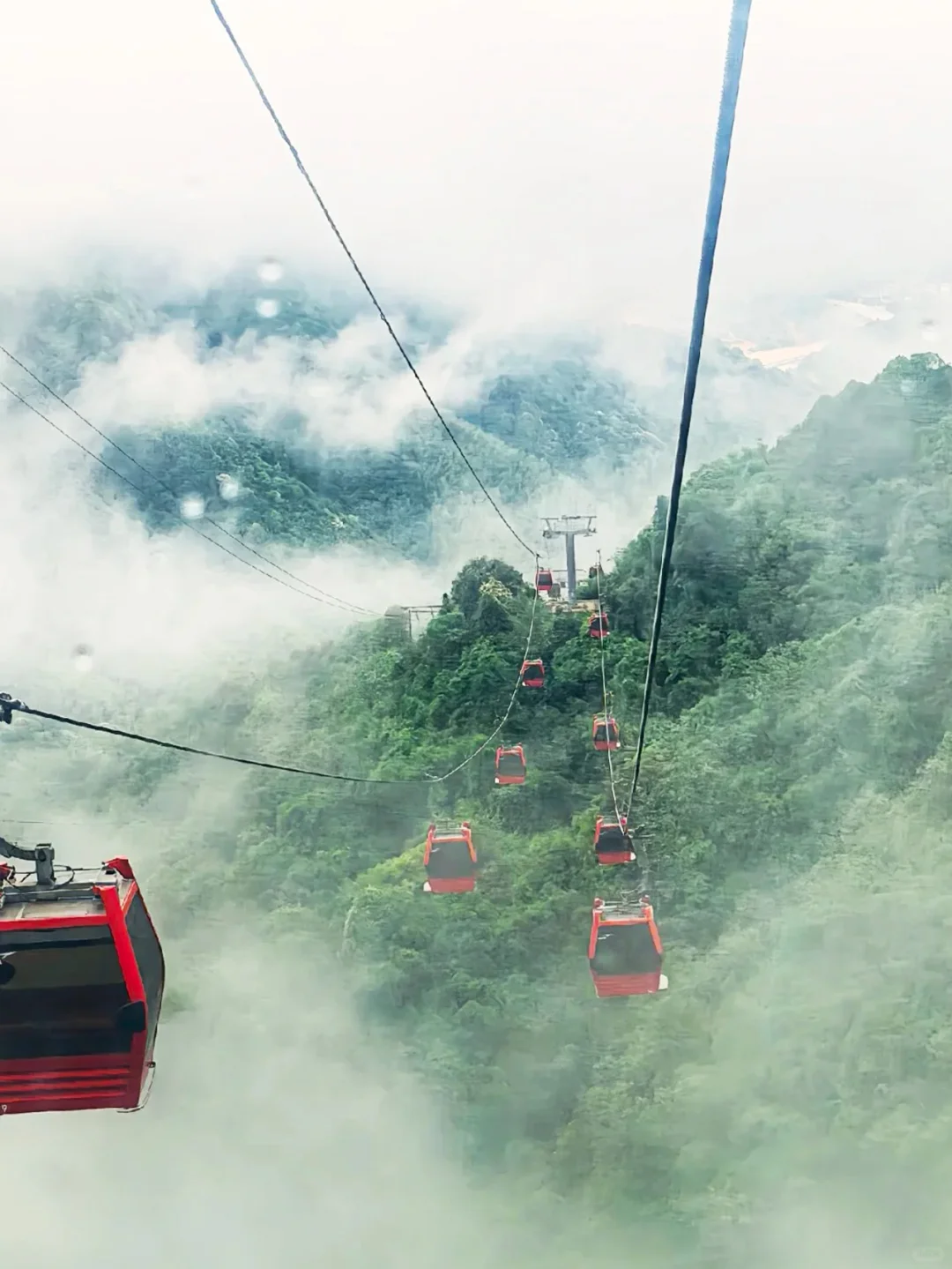 人间仙境葛仙村，体验手可摘星辰✨