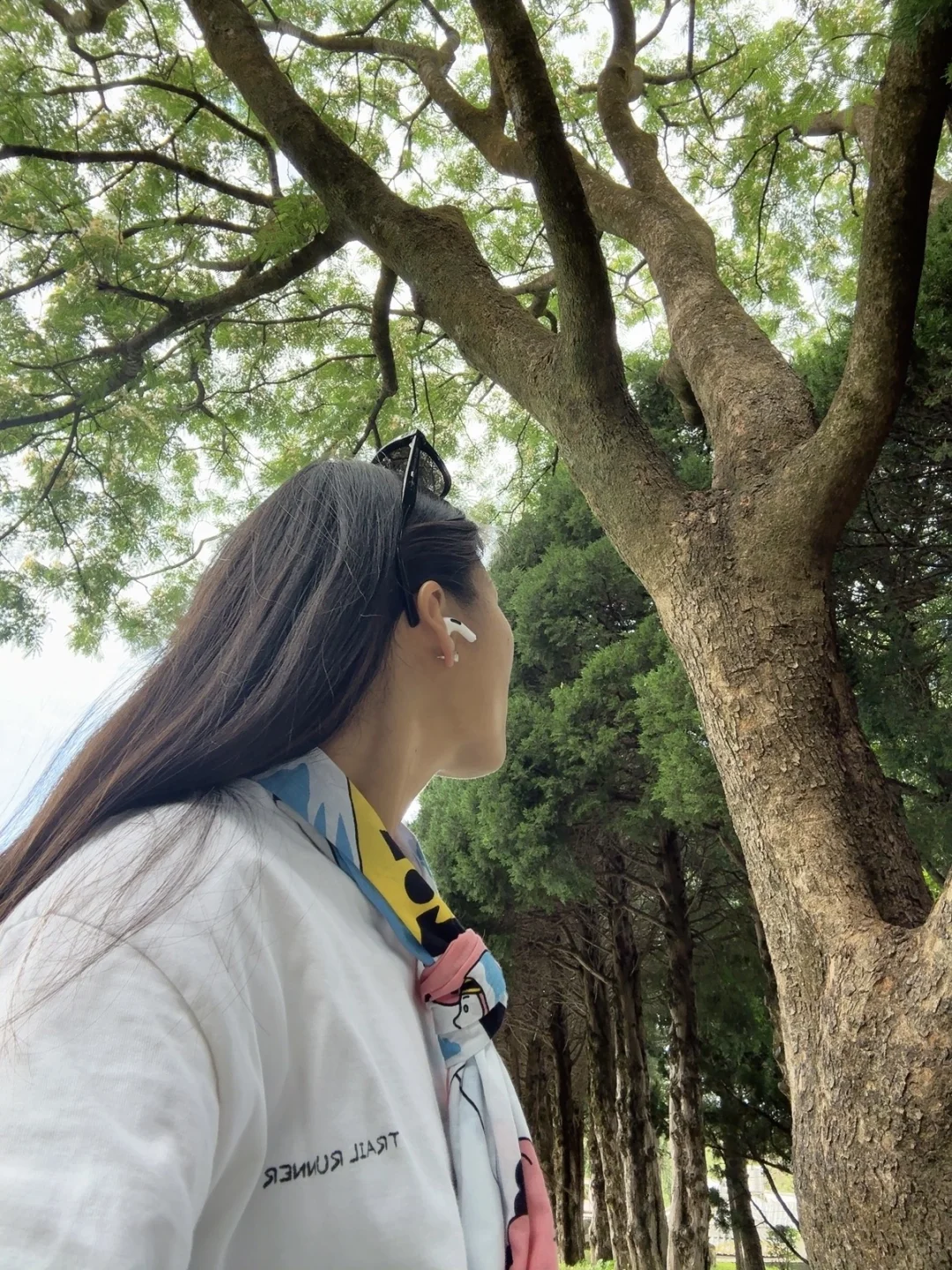 大理马拉松｜参赛选手实现了大理景区自由