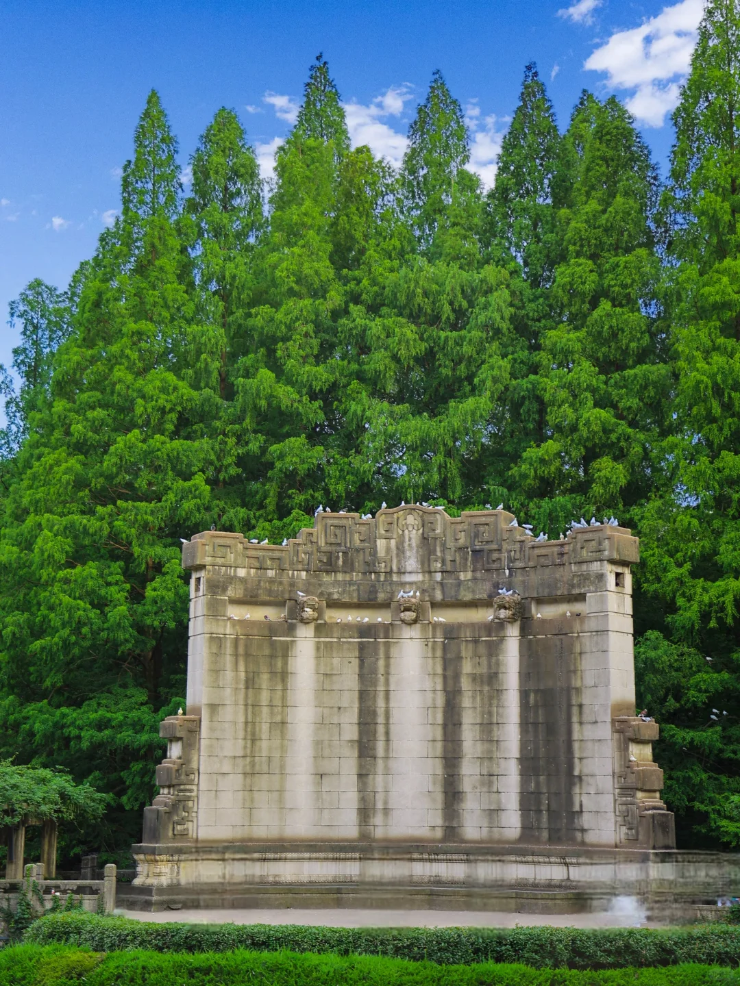 为了这🔟张照片，我特意飞了一趟南京‼️
