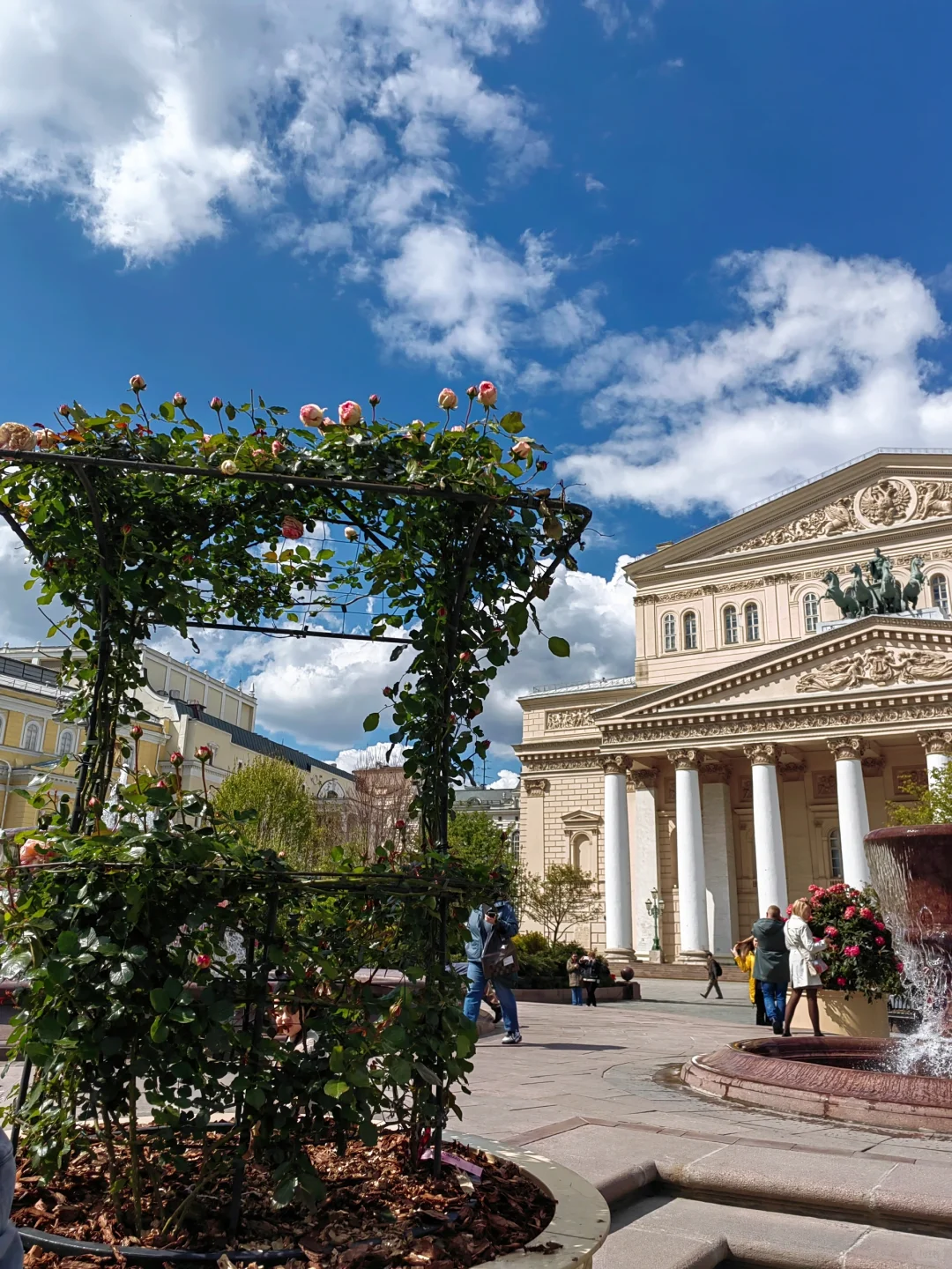 5.14 被莫斯科大剧院的茶花美到啦