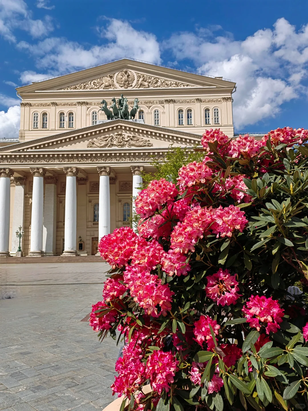 5.14 被莫斯科大剧院的茶花美到啦