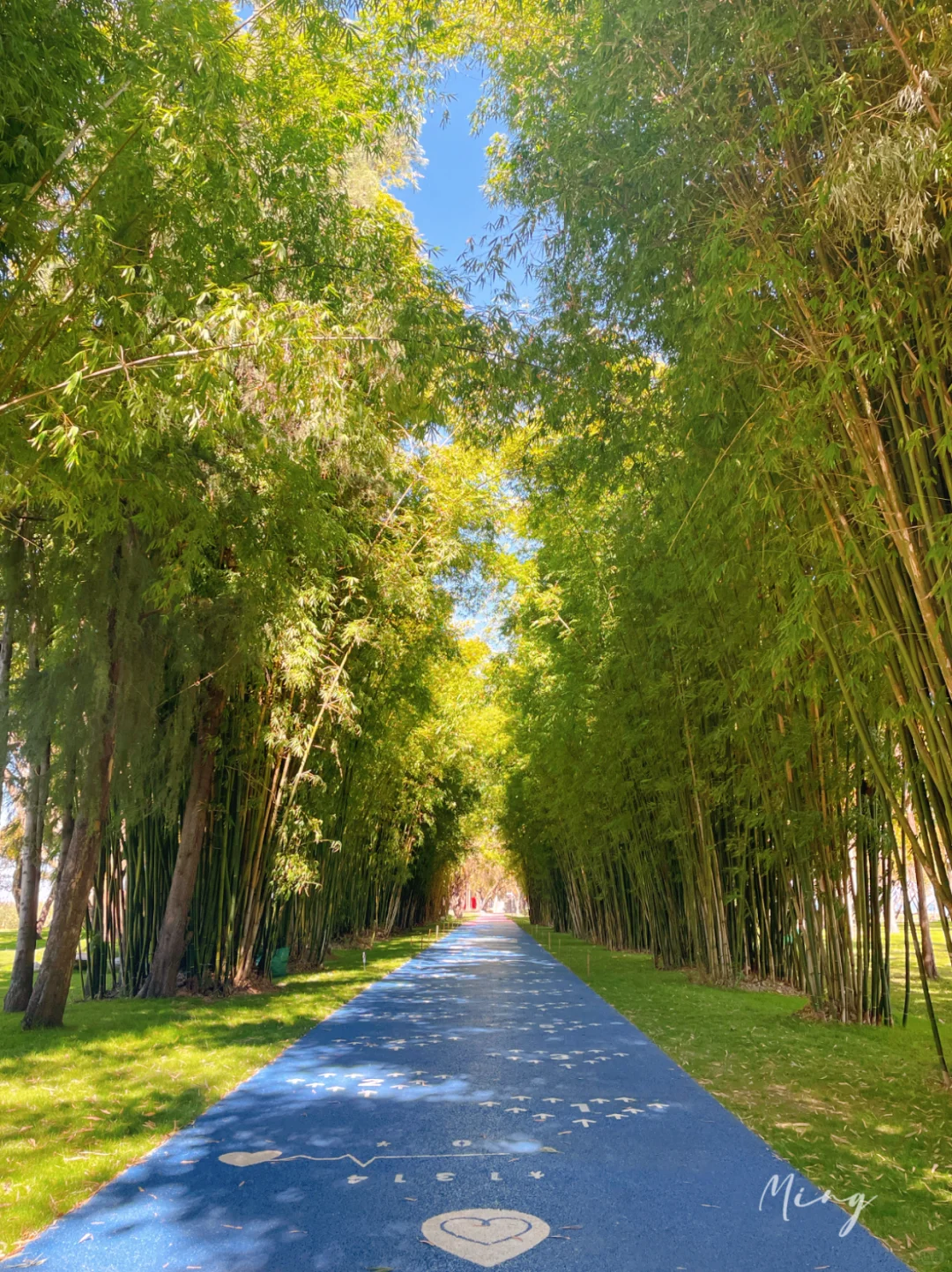 严重被低估❗️洱海旅拍人少出片宝藏公园🏞️