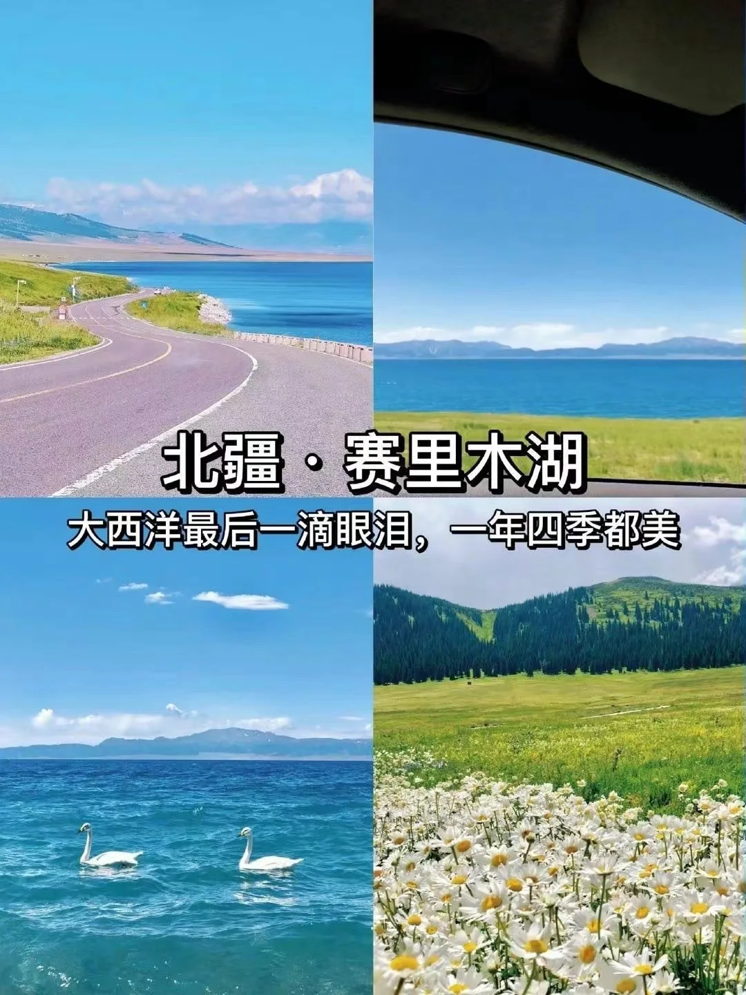 探秘北疆仙境,领略天山之巅的绝美风光!