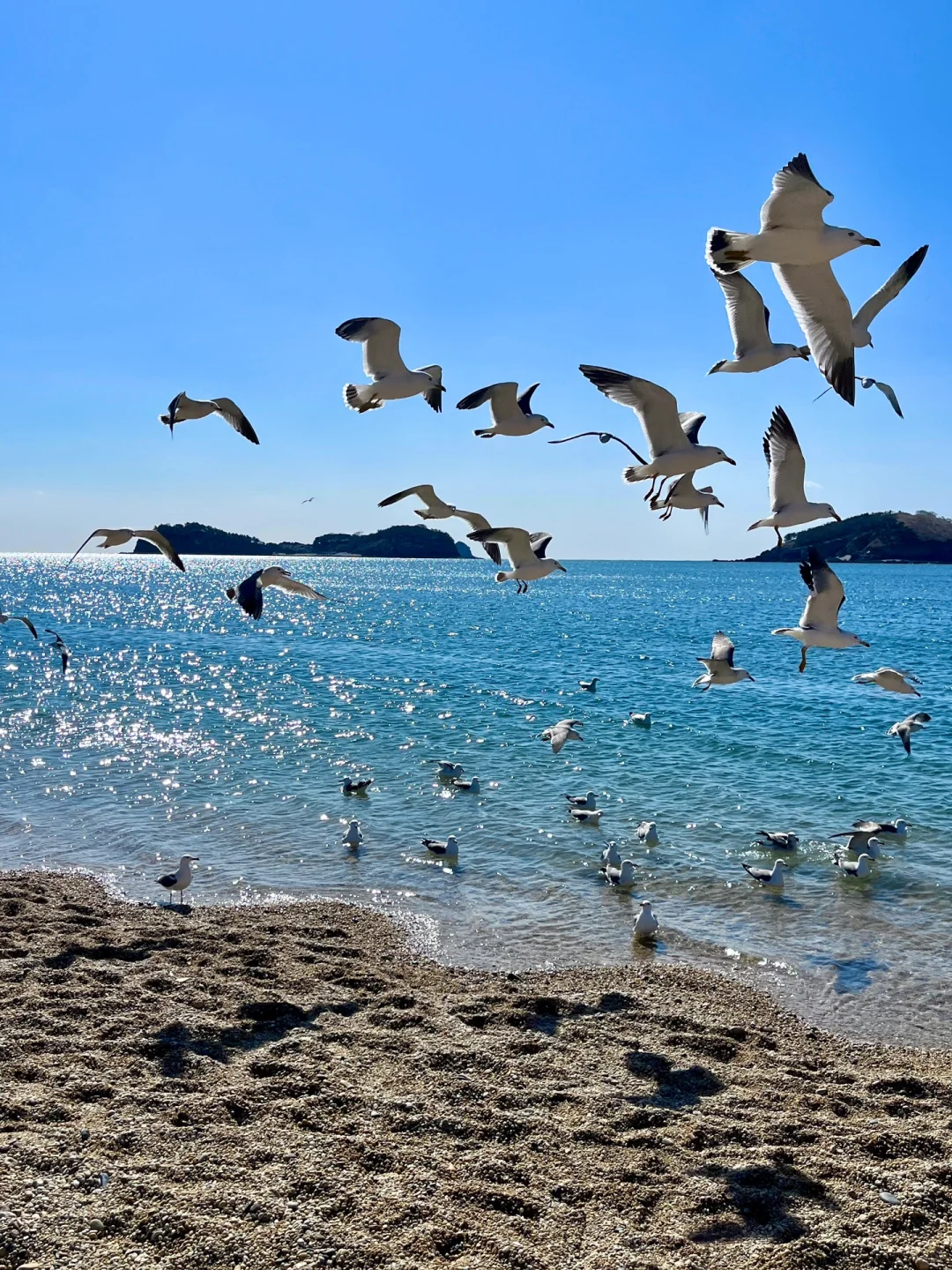 大连旅游最佳时间+必打卡景点，听劝不踩坑