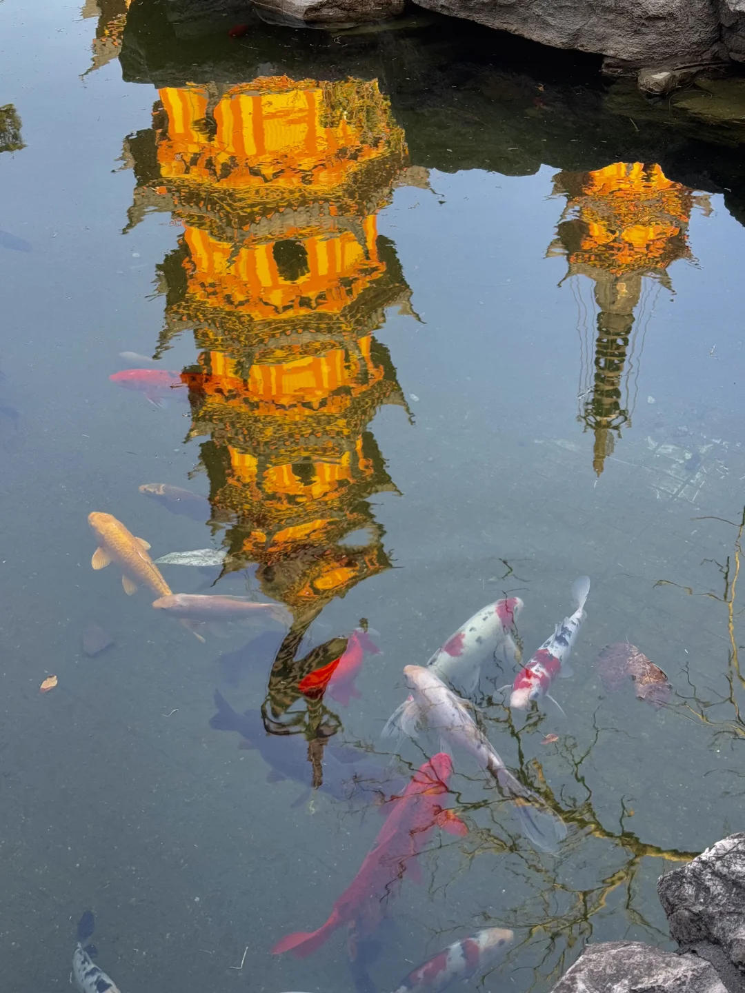 苏州被问爆的1️⃣5️⃣个机位❗️发pyq直接赢麻