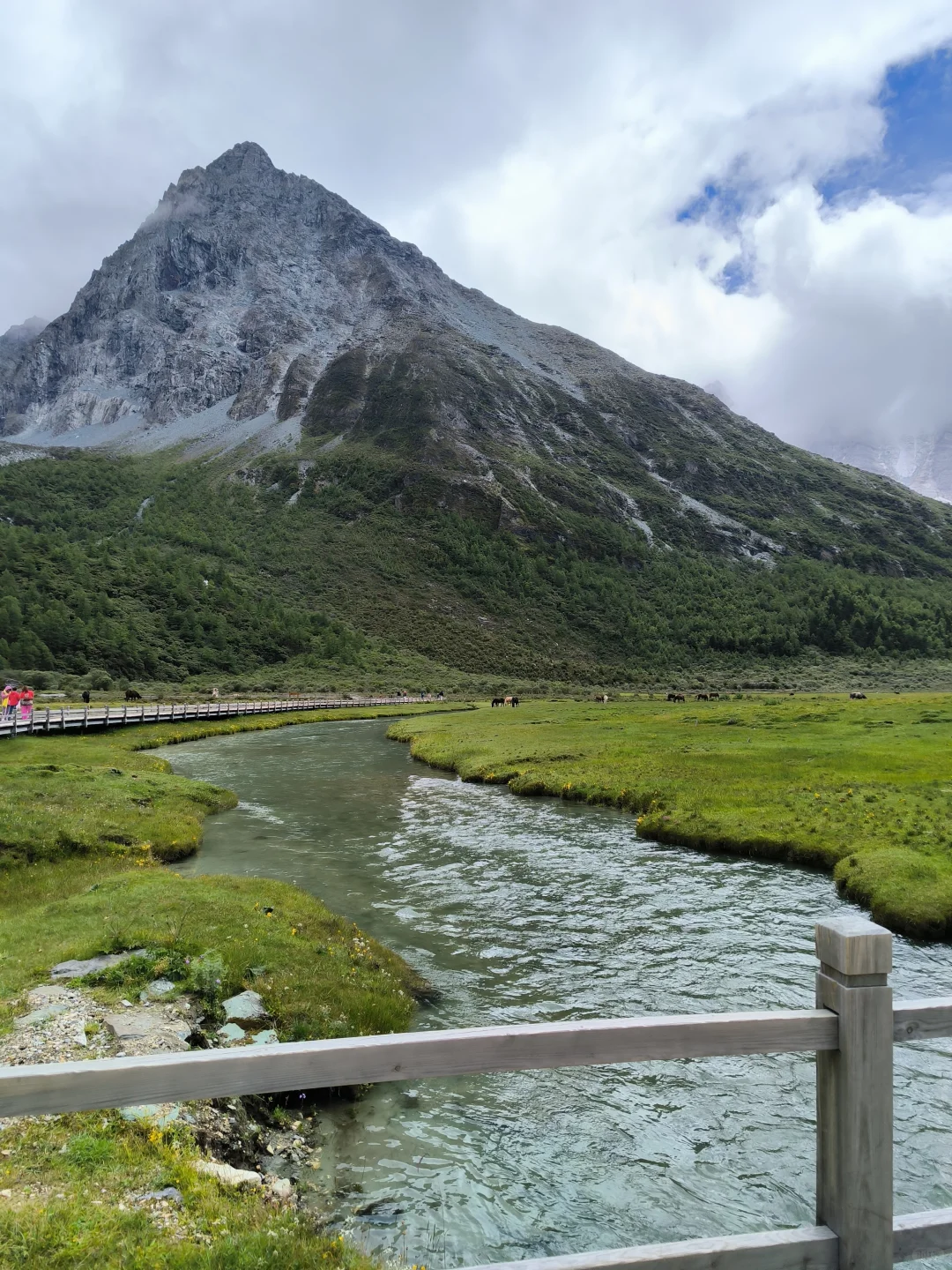 避雷！稻城又远风景又一般 狗都不去～