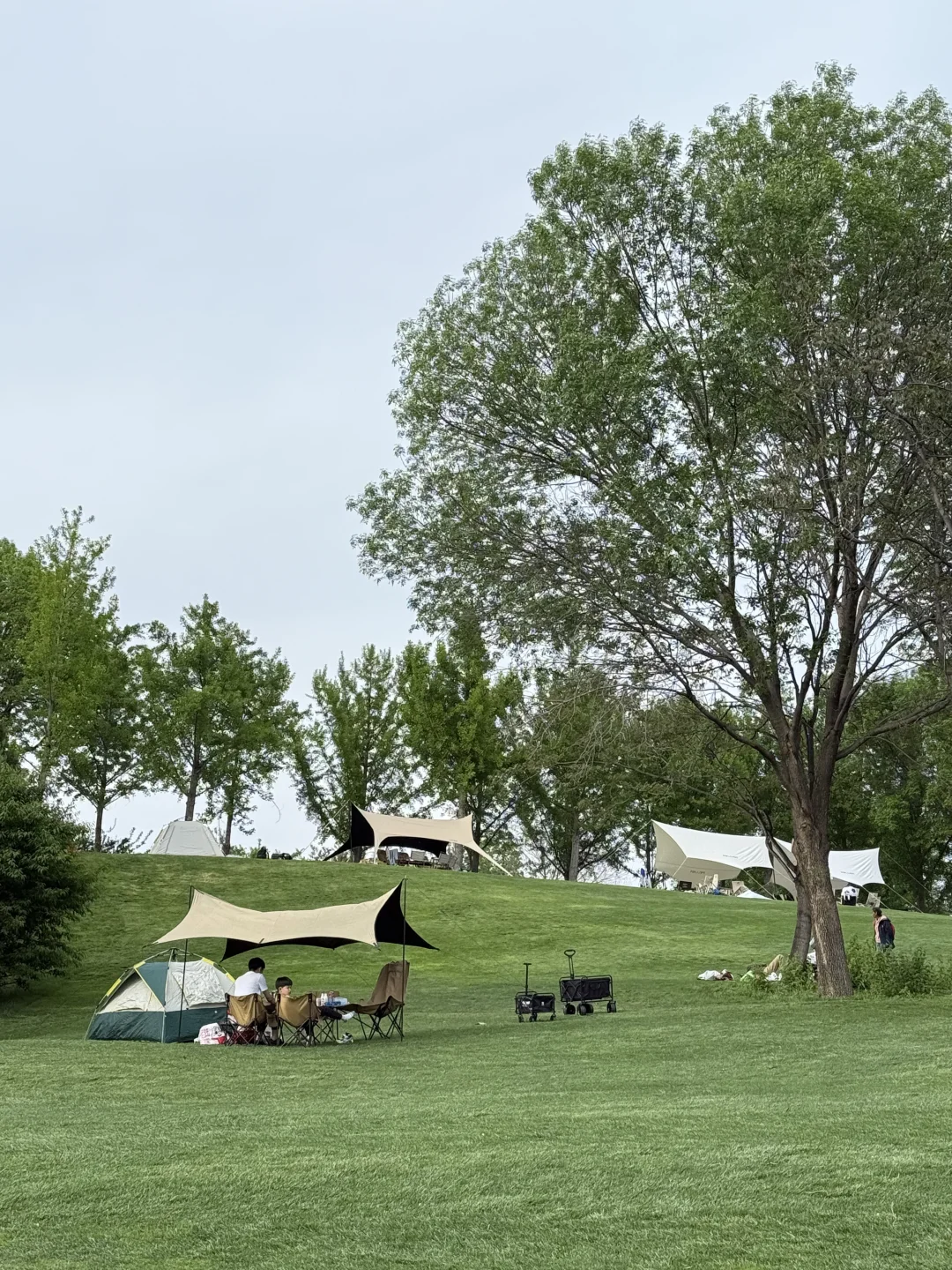 天津出发2h到达!趁好天气去大自然摆烂