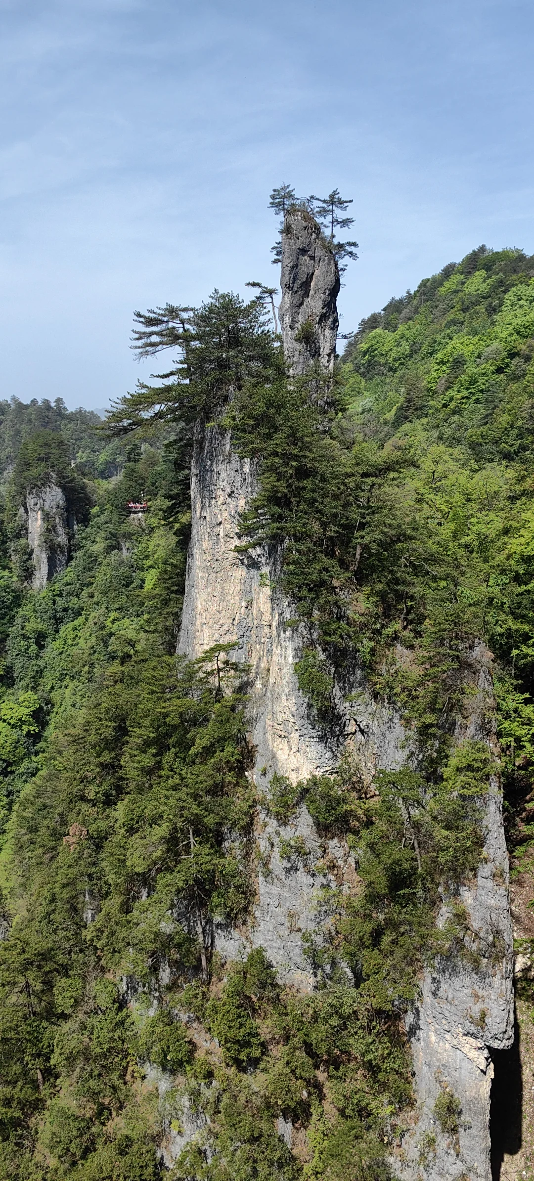光雾山看高山杜鹃花攻略